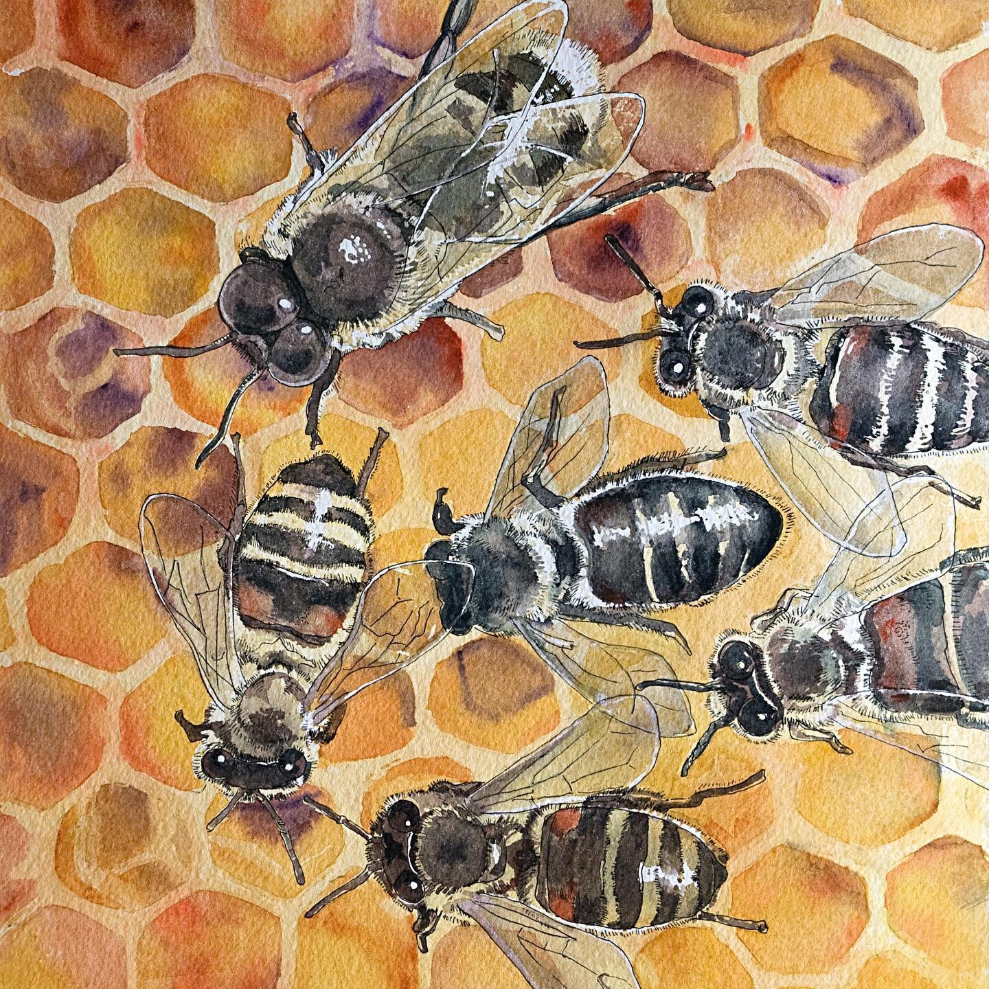 I heard it was #pollinatorweek so here&rsquo;s my best bee painting. Available as a print. Link in bio. #watercolorpainting #bees #honeybees #overinthevalley #lindaknollart