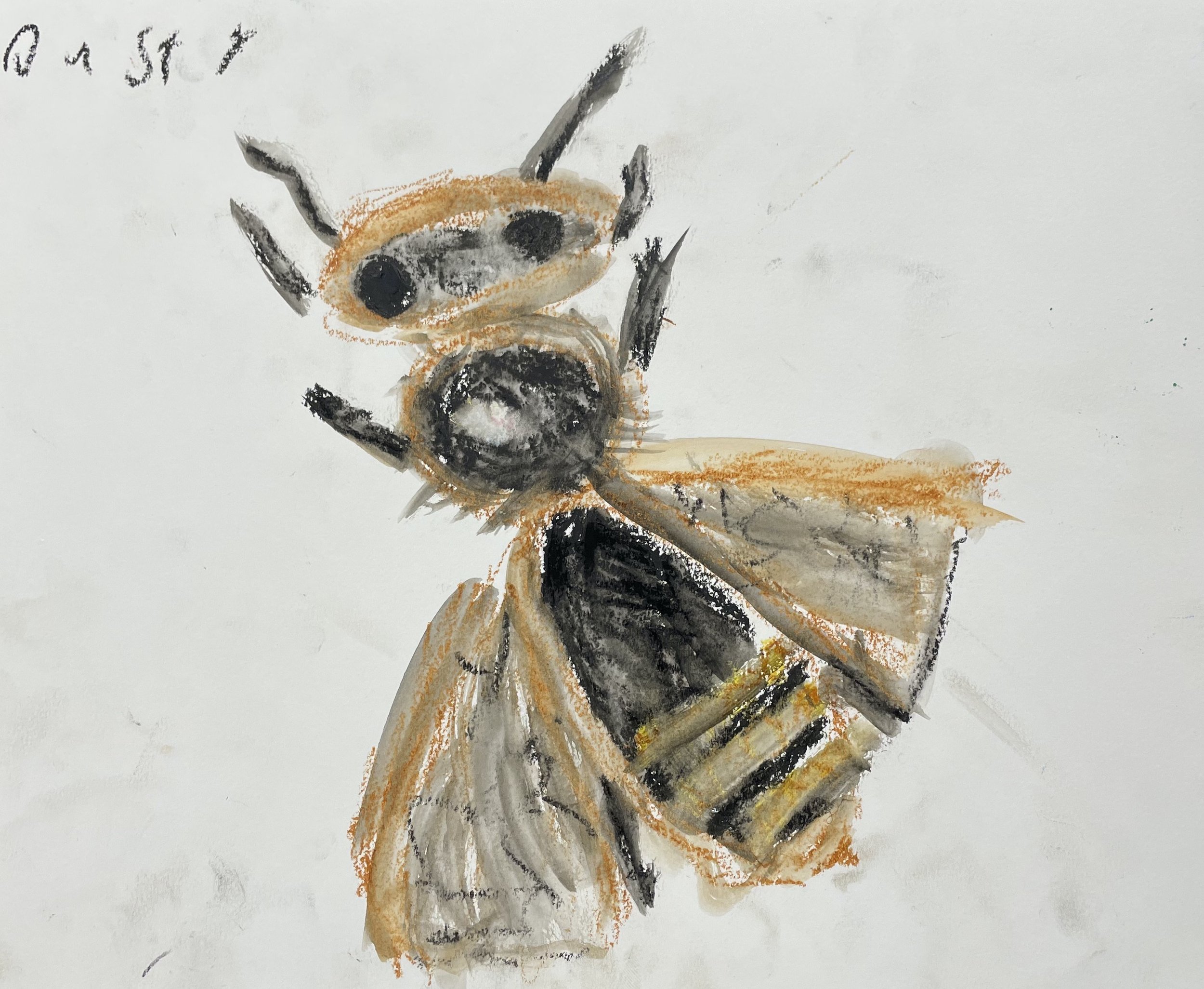 bee drawing.jpeg