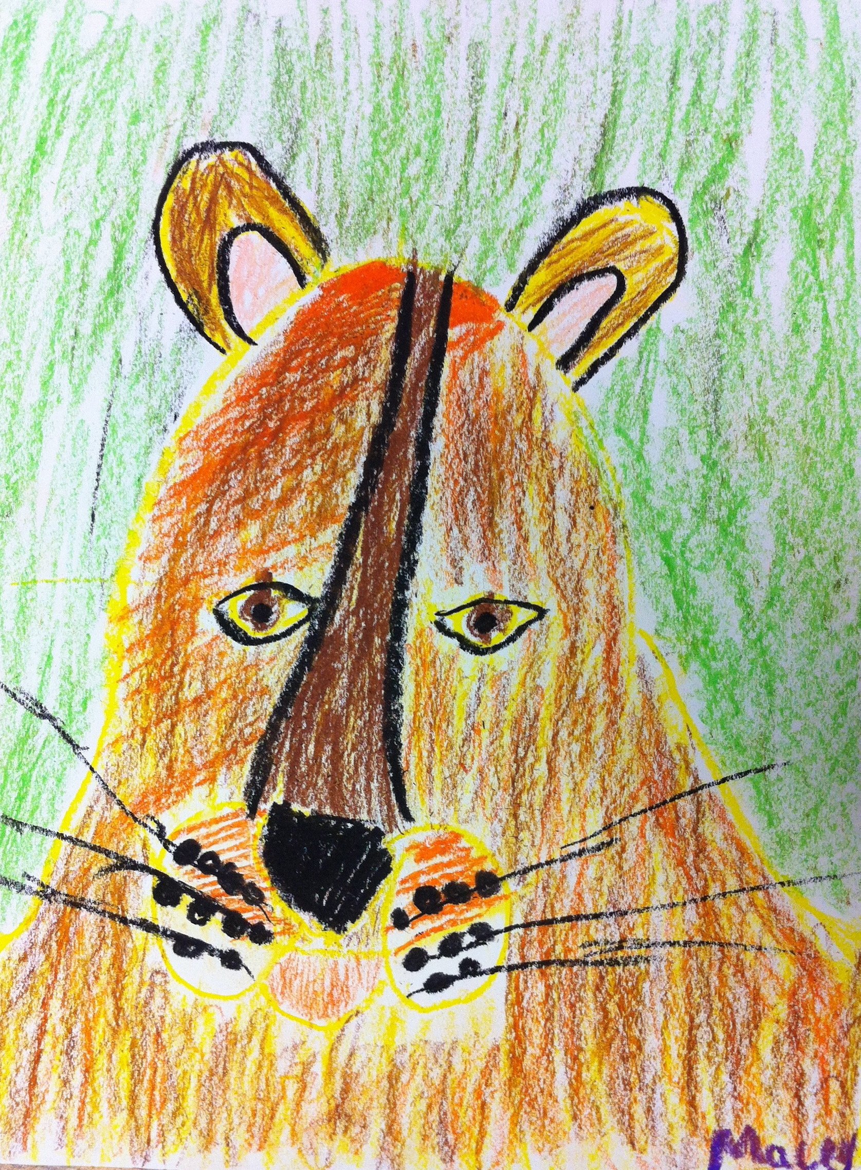 mountian lion drawing.JPG