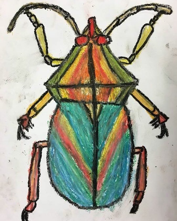 symmetrical beetle.jpg