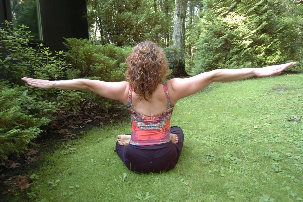 Robin- yogi wingspan.jpg