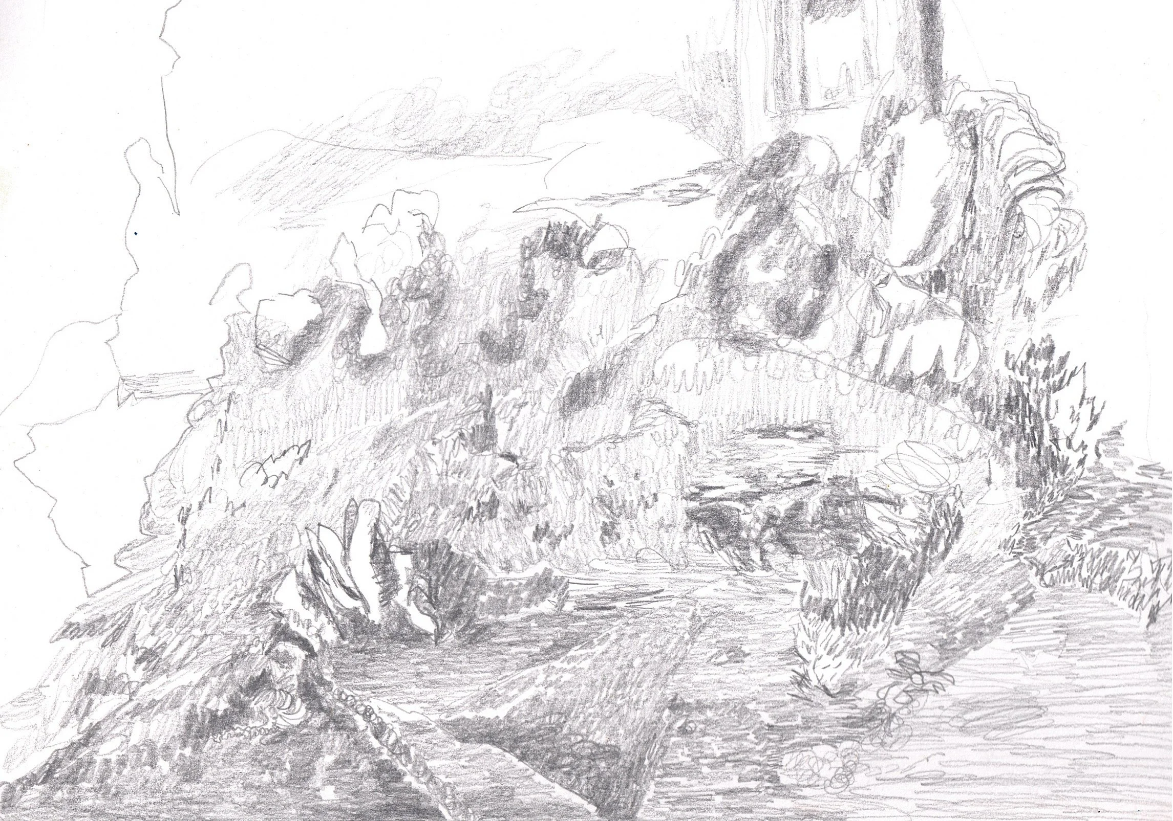 2024-11-18 10.34.26.jpg