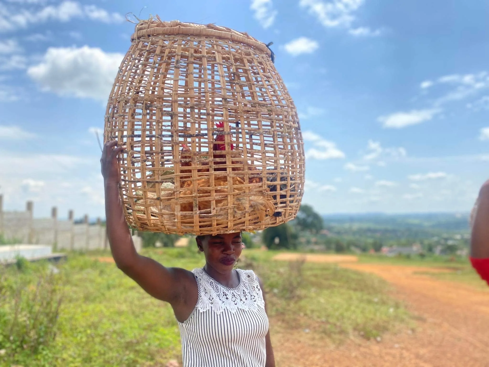From Farm to Table: Empowering Women Through Poultry Farming