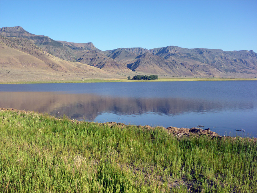 DO GOOD: THE WETLANDS CONSERVANCY