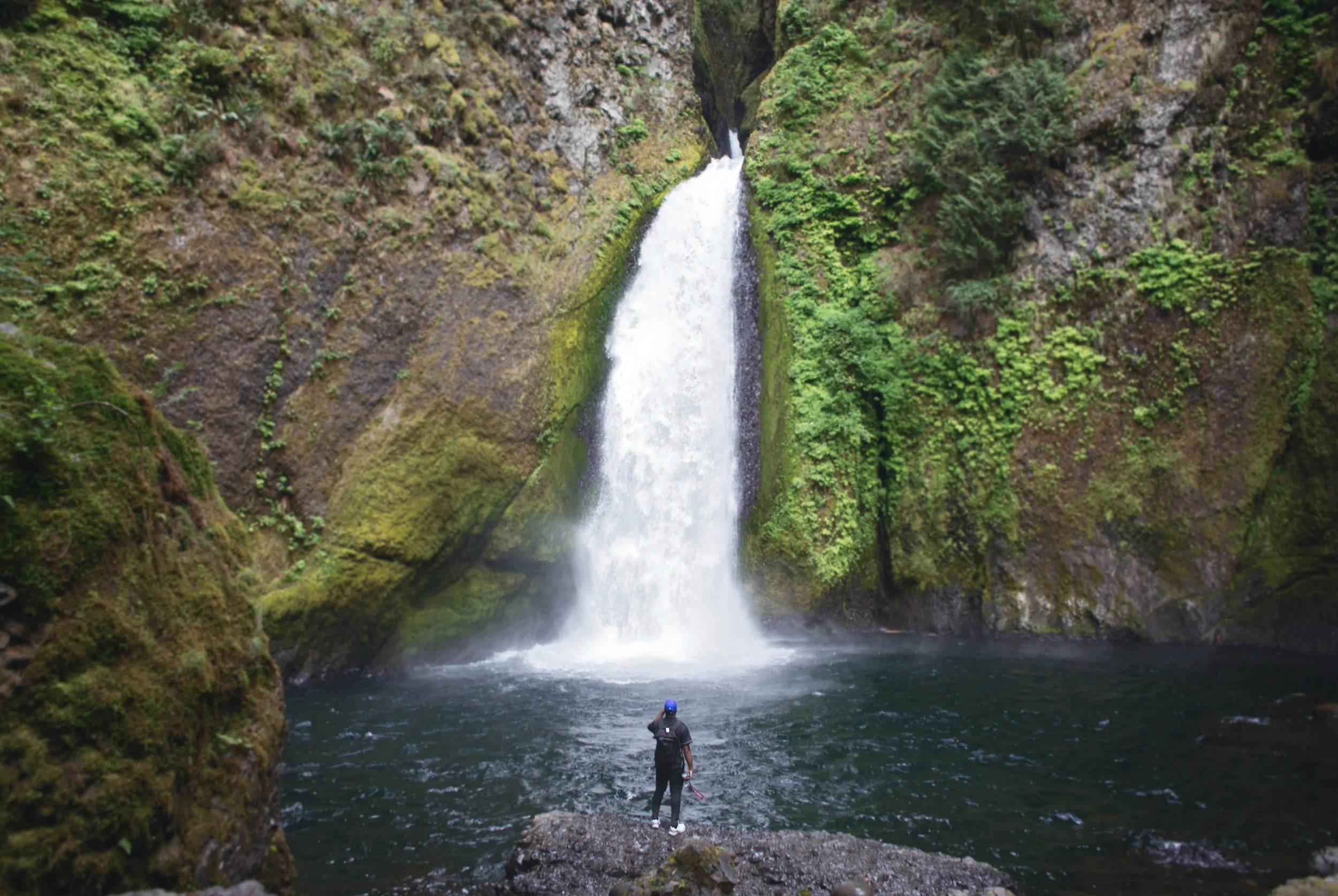 IN THE WILD W/ ANDRE POWER