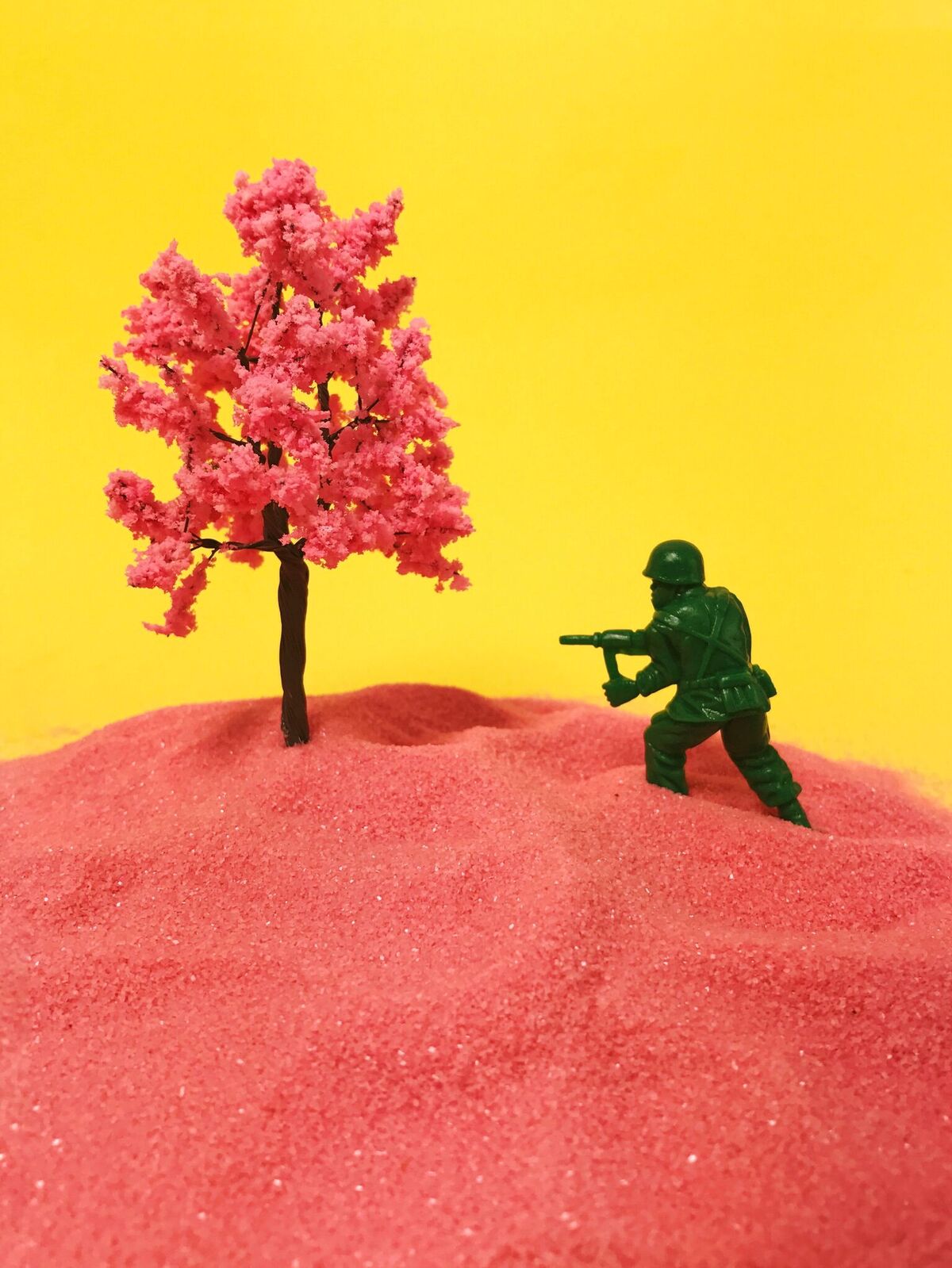 CREATIVE HIGHLIGHT: ERIN ROSE