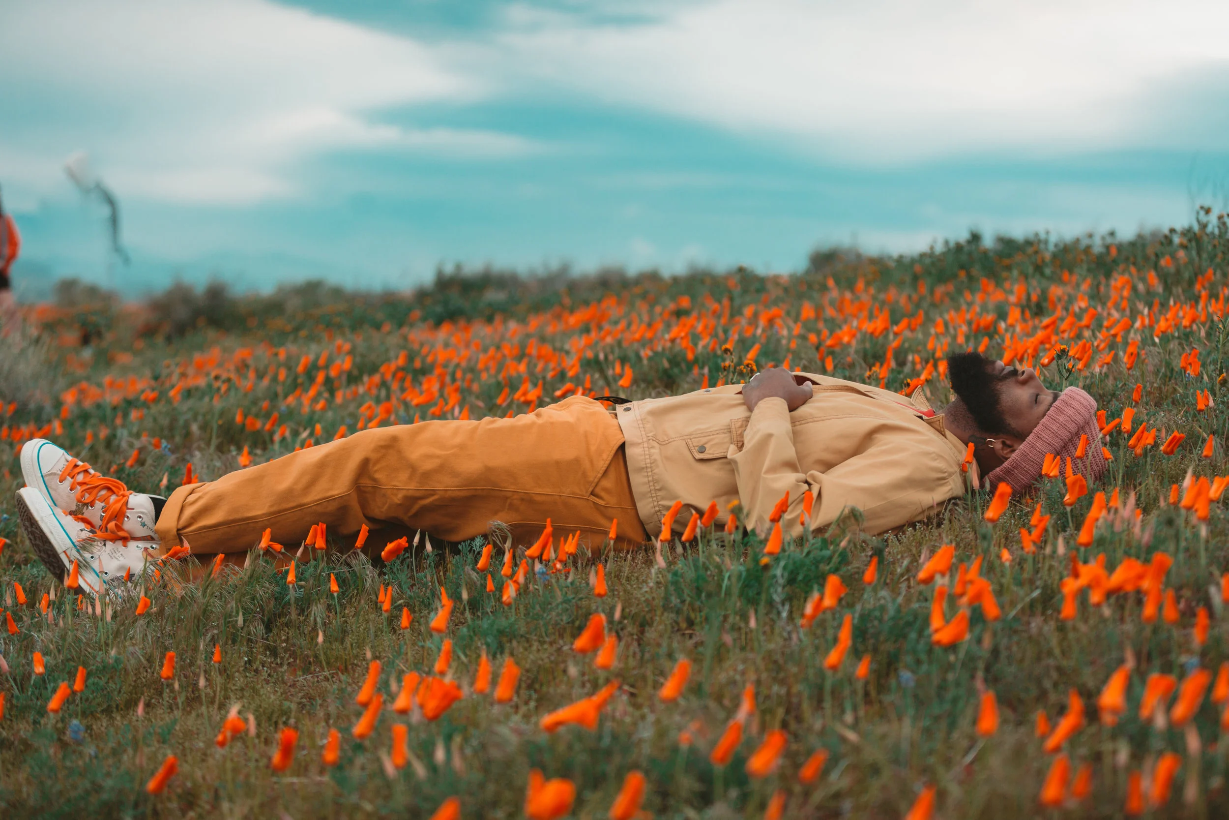 POPPY FIELDS