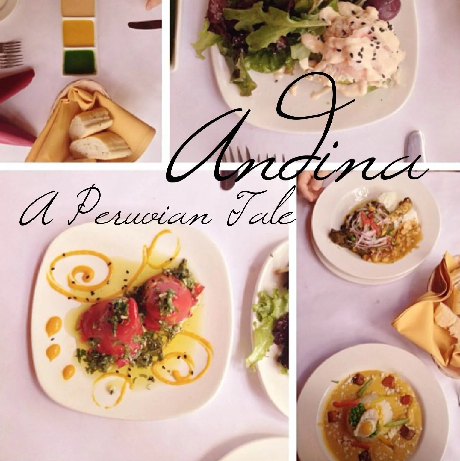 ANDINA: A PERUVIAN TALE