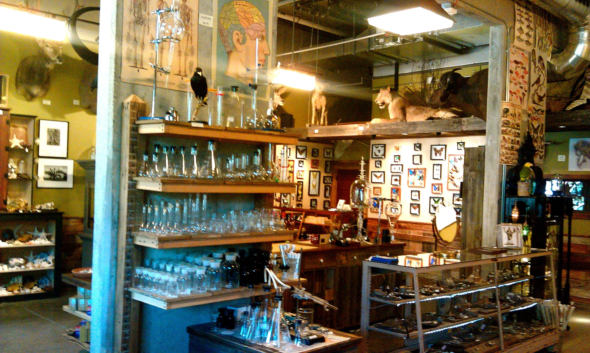 IMAG0473.jpg