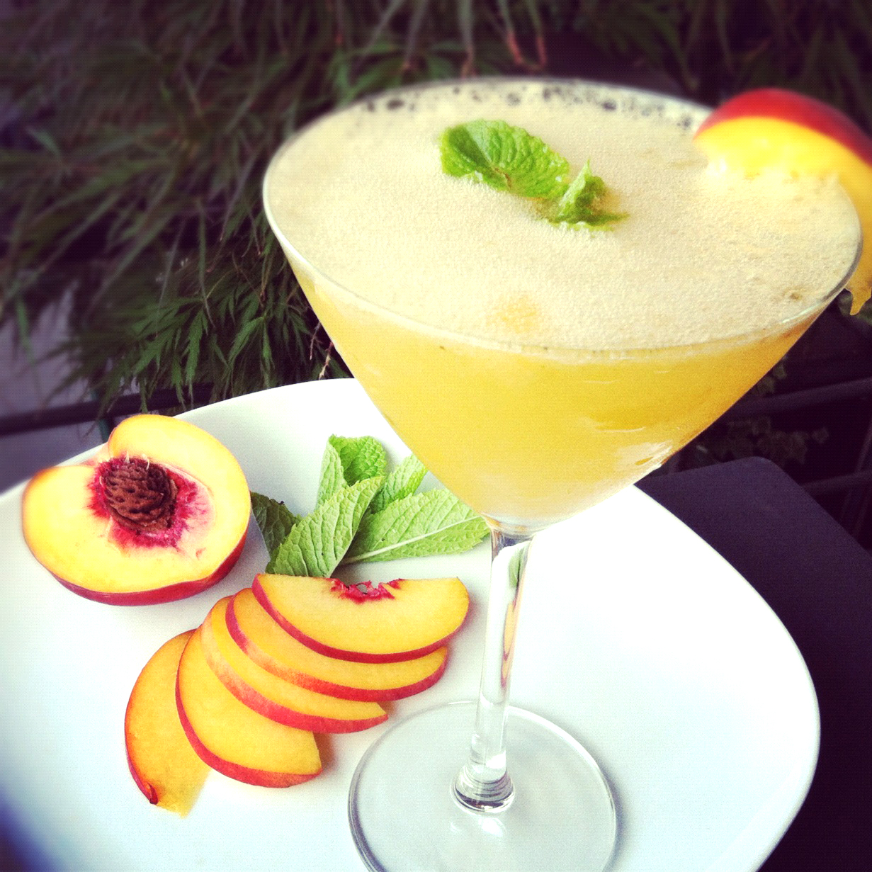 GingerHoney-Bellini.jpg