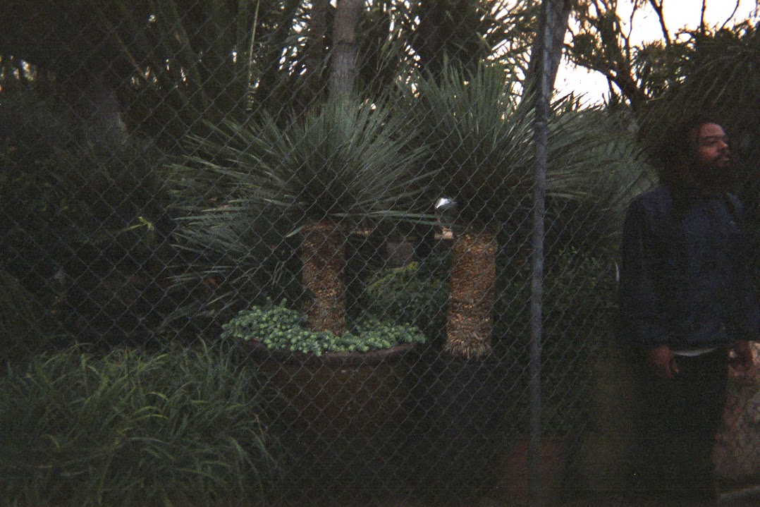 mykedisposables.jpg