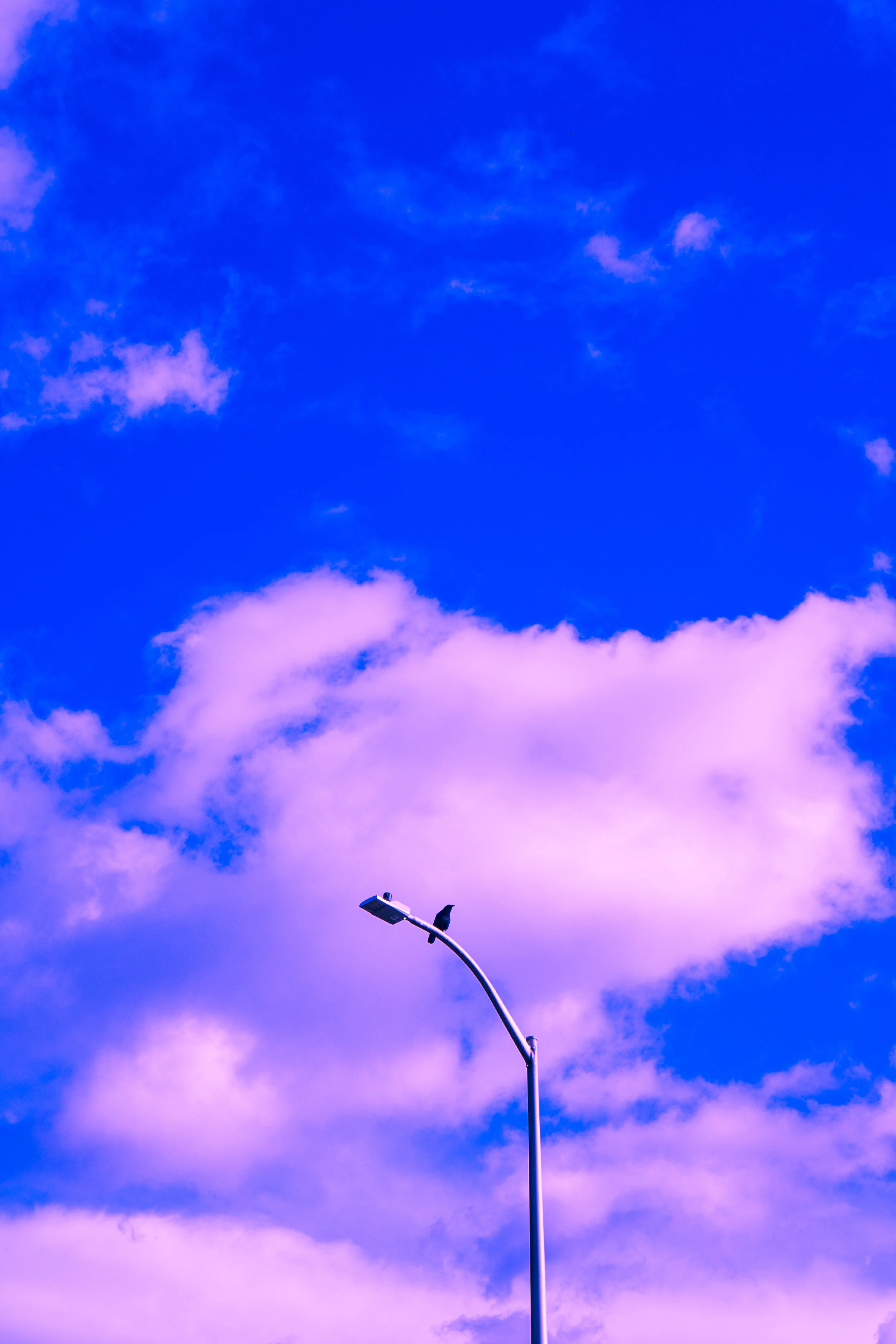 DSC03477.jpg