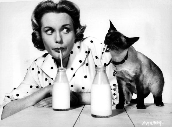 QUARANTINE: A DAY IN THE LIFE WITH A WOMAN & HER CATS