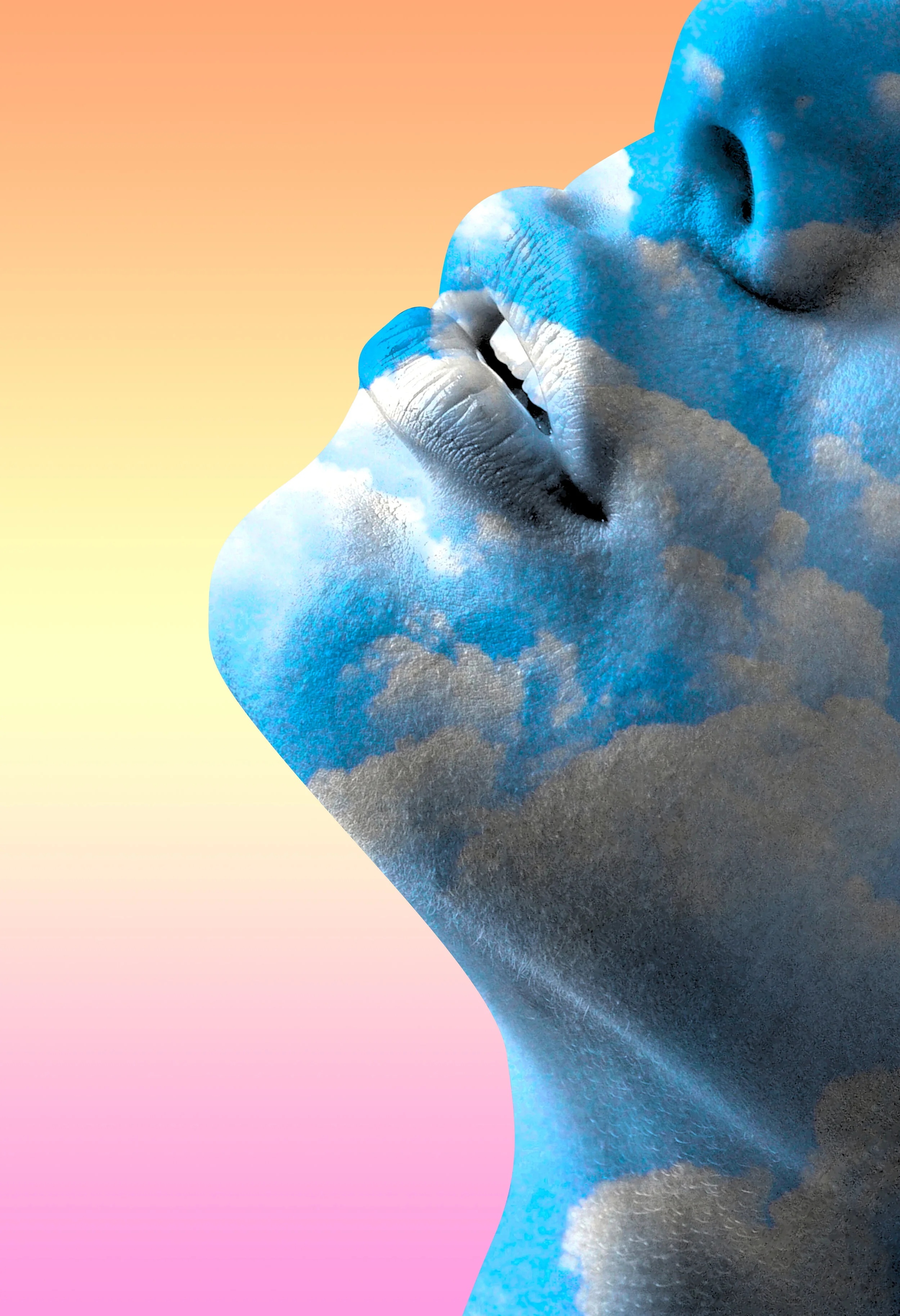 hanging above.jpg