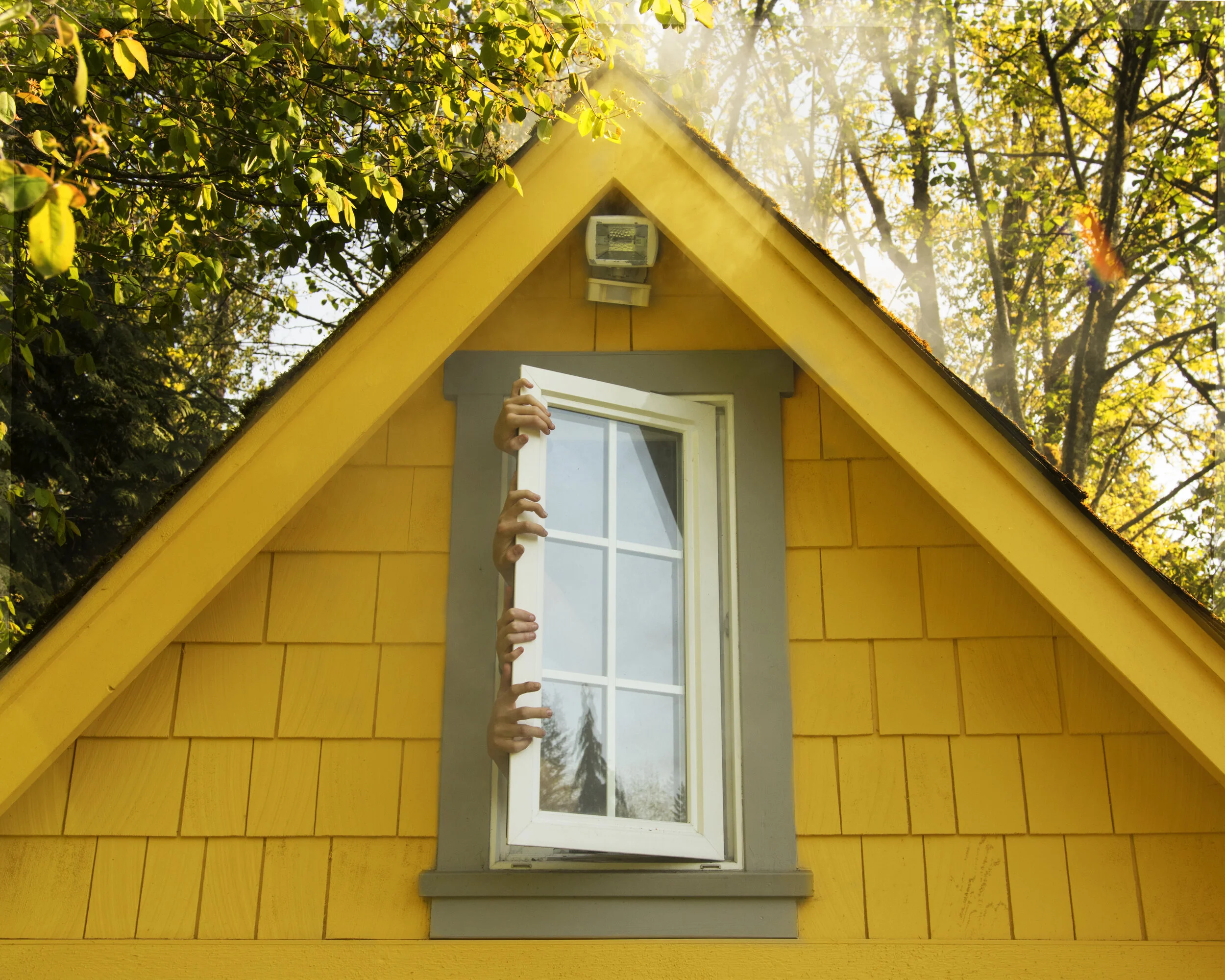 Window, 2020