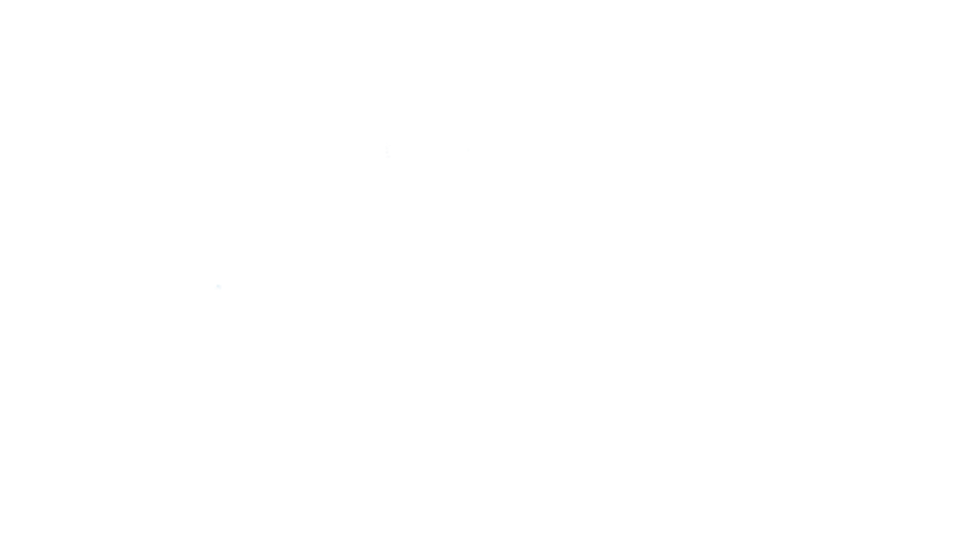 Painted Dance Collective
