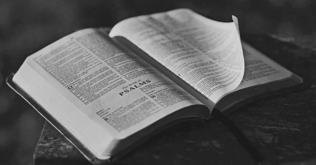 Open+Bible.jpg