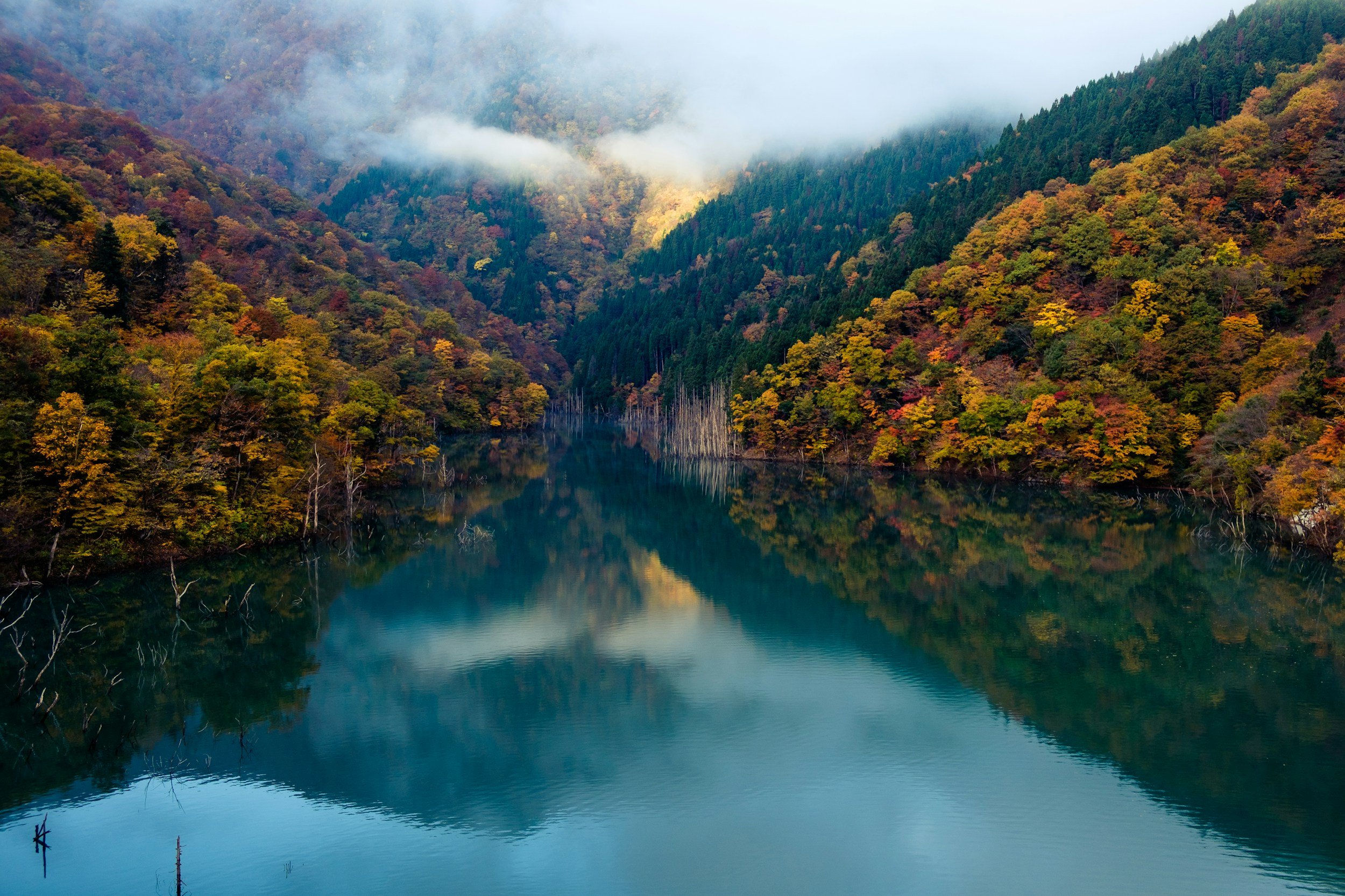 unsplash-image-4T_74DQL3qg.jpg