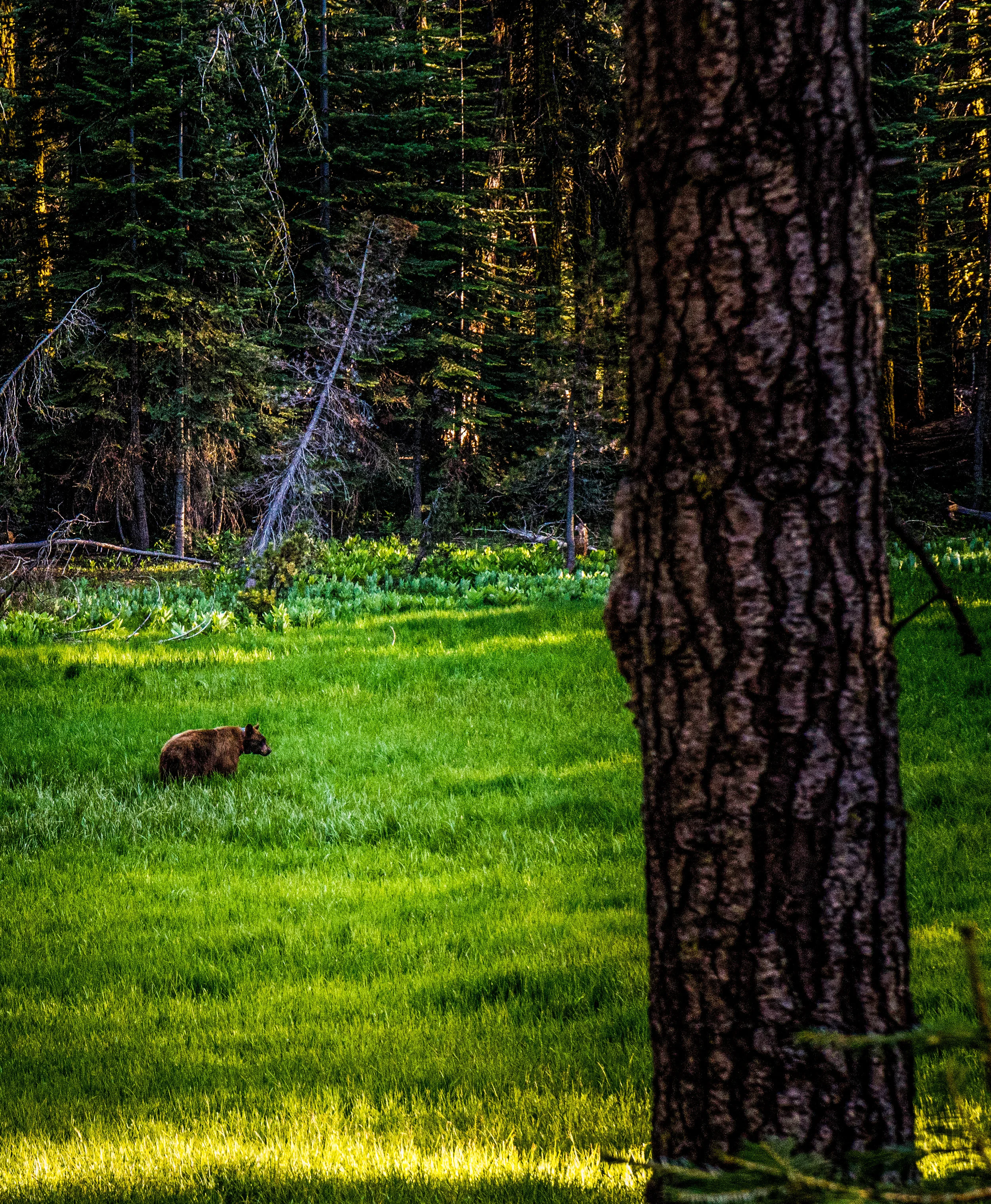 0520 ig (12 of 39).jpg