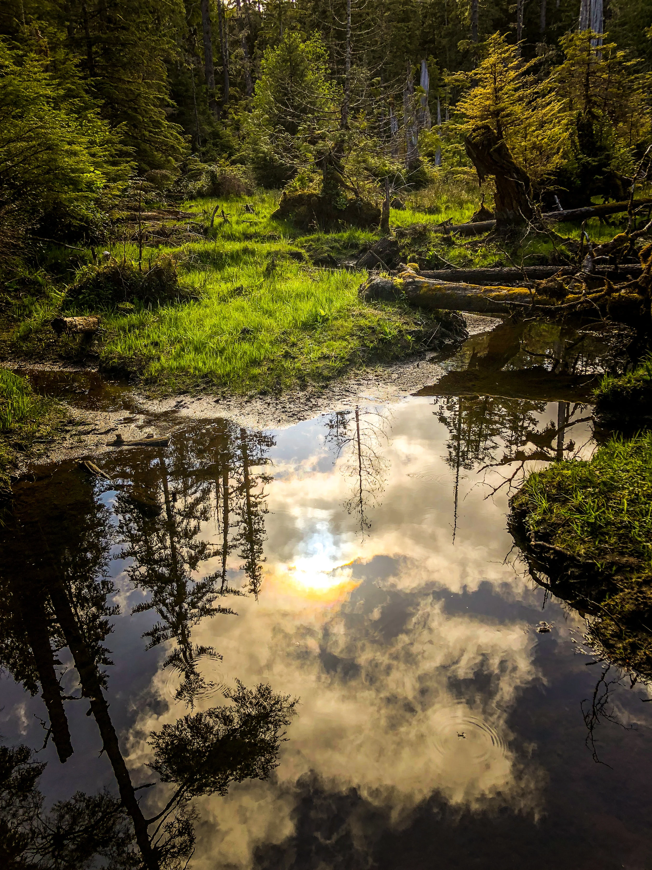 0520 ig (37 of 39).jpg