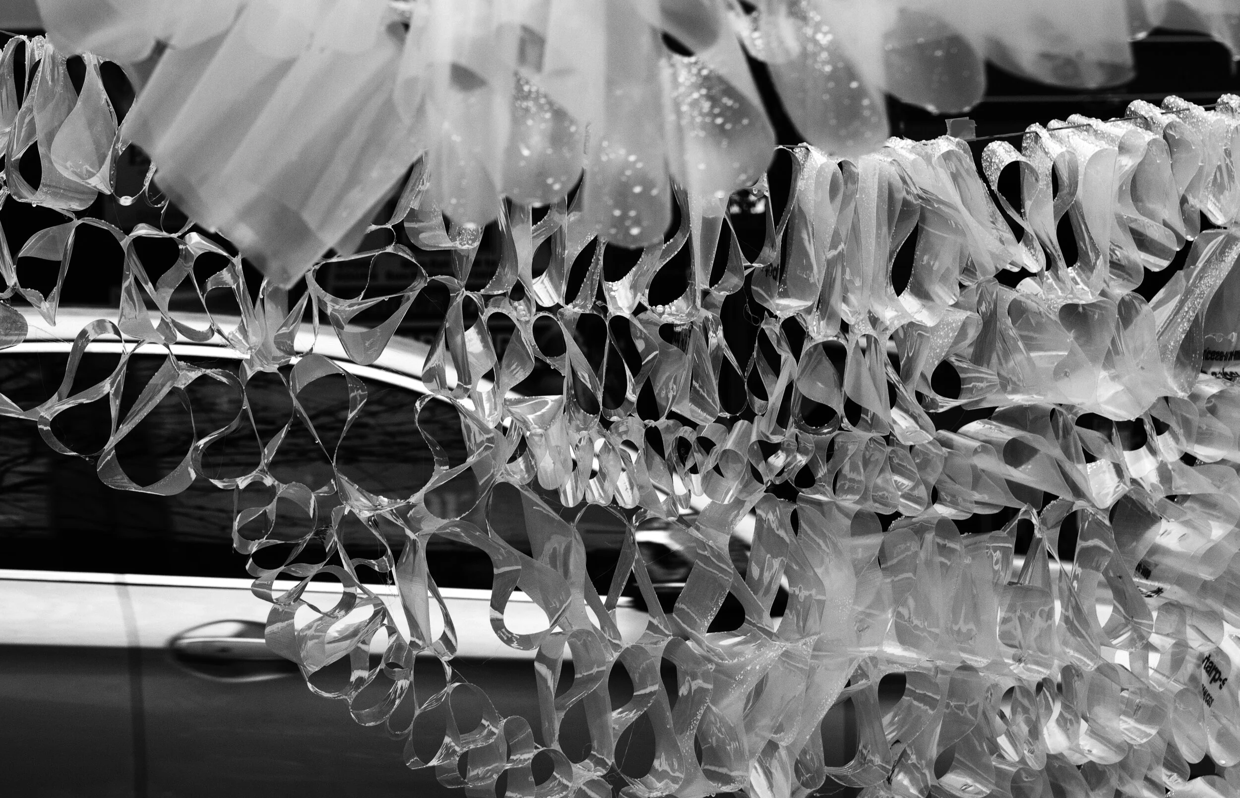 black and white1.jpg
