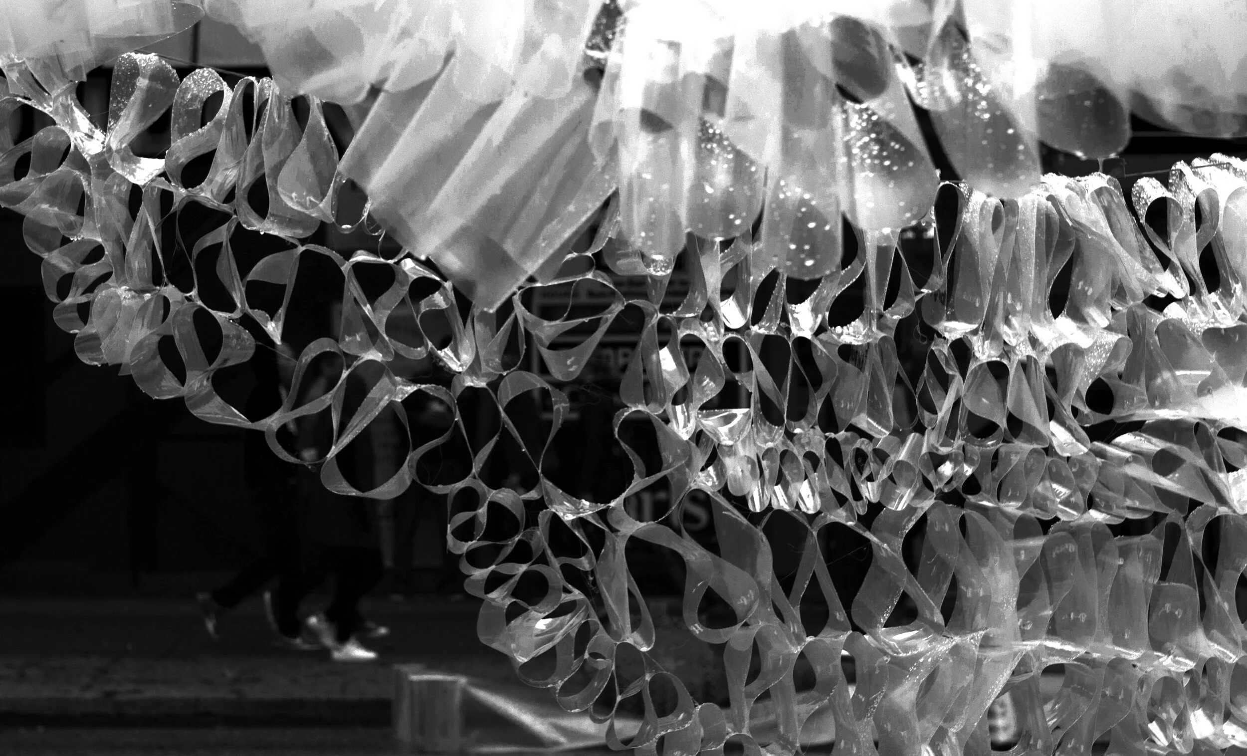 black and white2.jpg