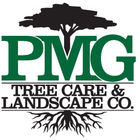 PMG Logo.png