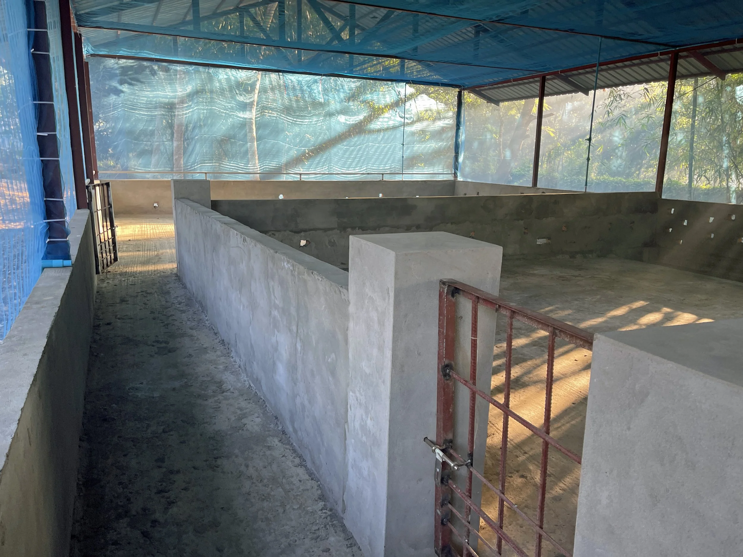 Pig Farm Construction for an Orphanage in Myanmar