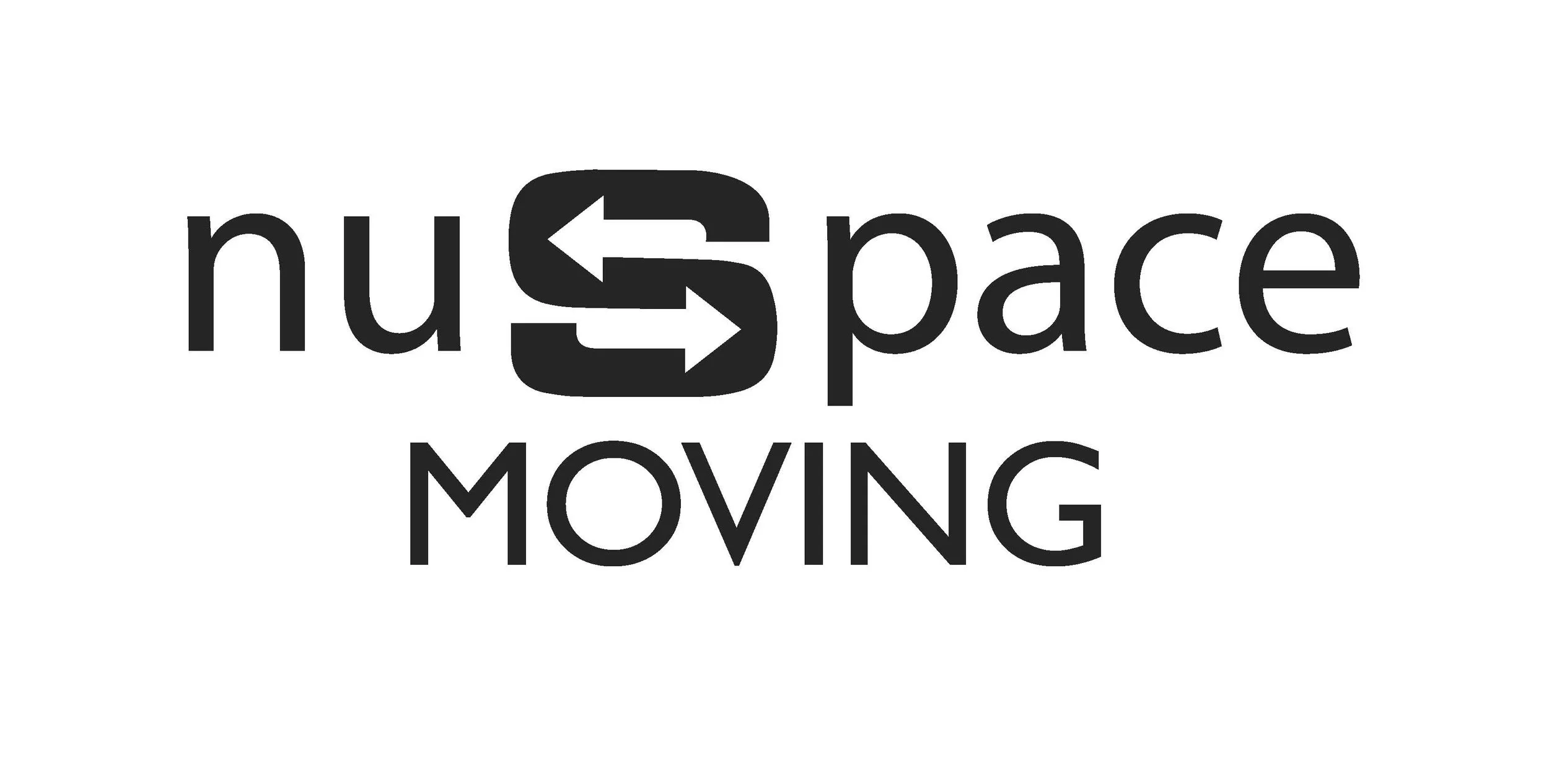 Hole Sponsor - NuSpace logo.jpg