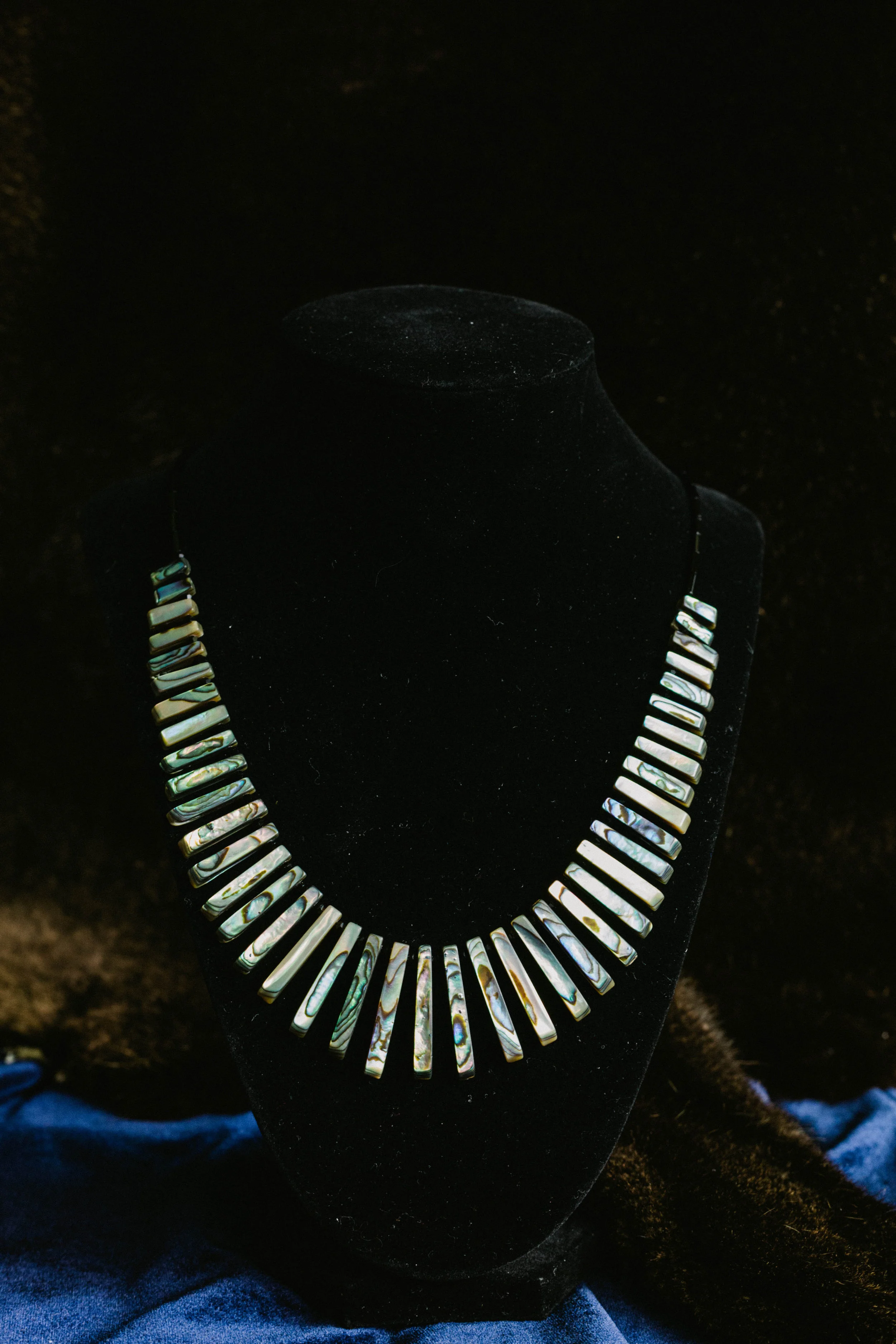 E660AAF6-36A7-4E5C-895A-2659749C6F99