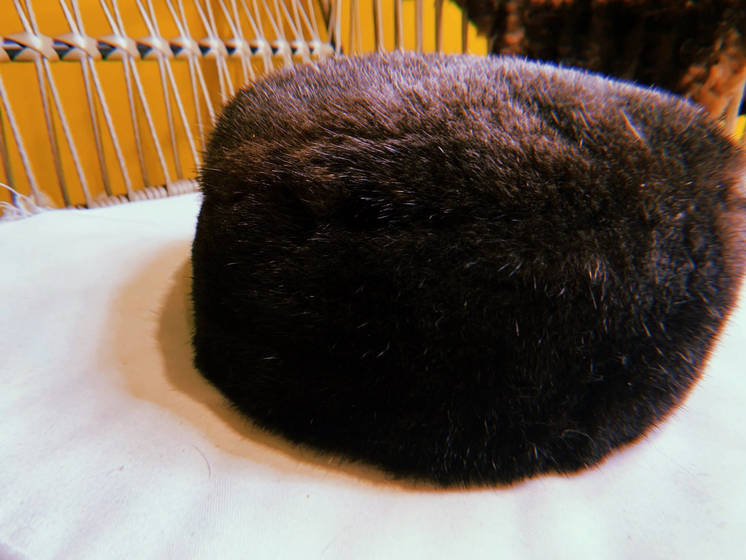 Sea otter fur pillbox hat