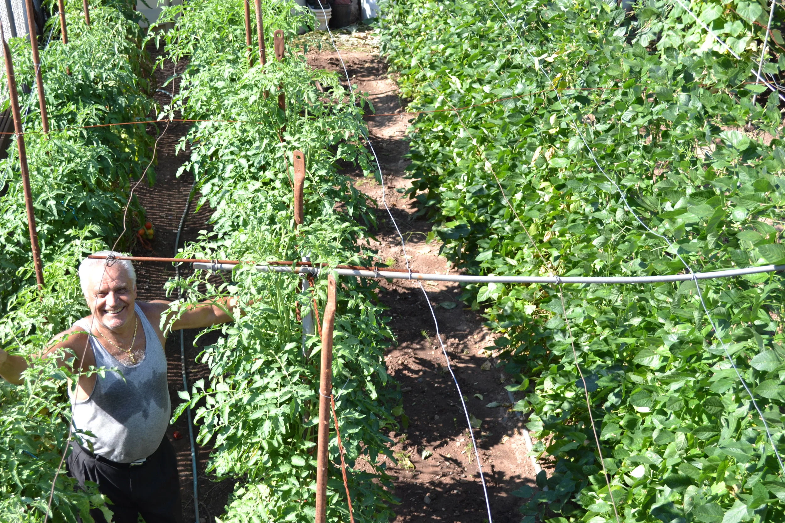 On the Road: New York  