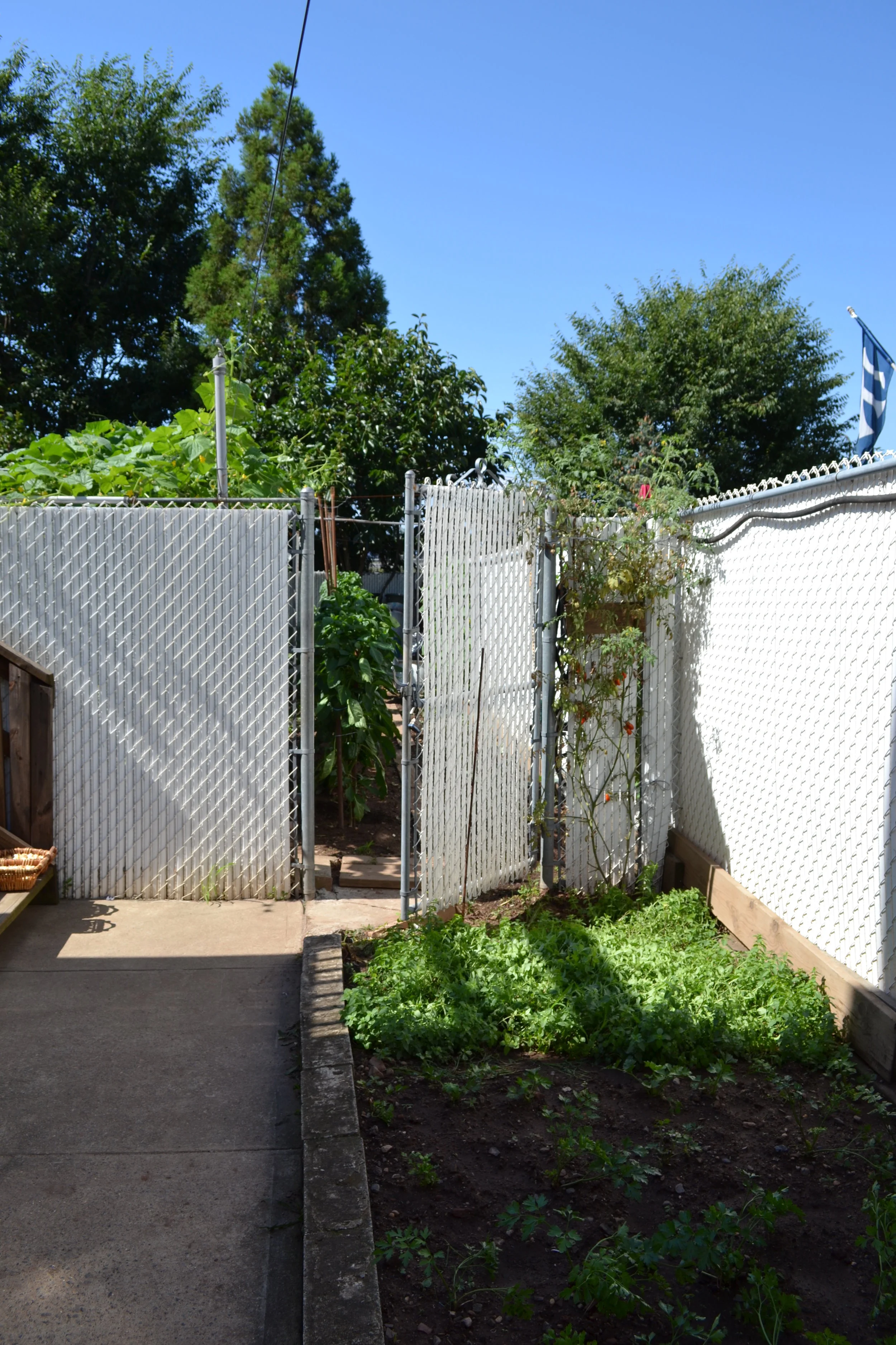 Garden Gate