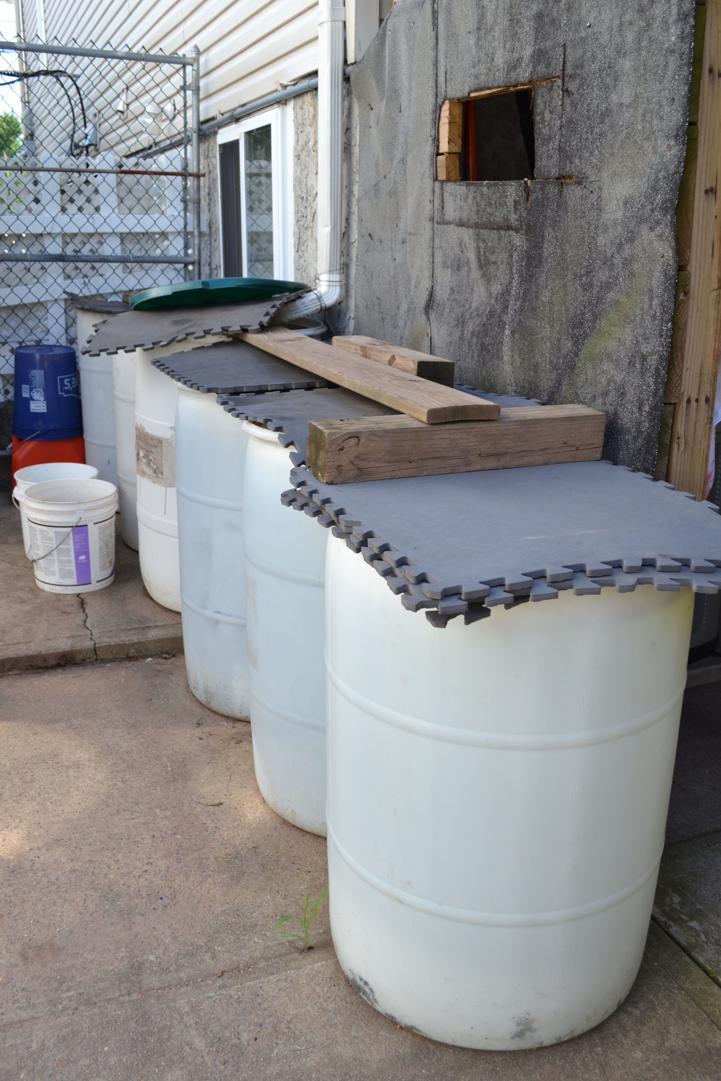 Rainbarrel