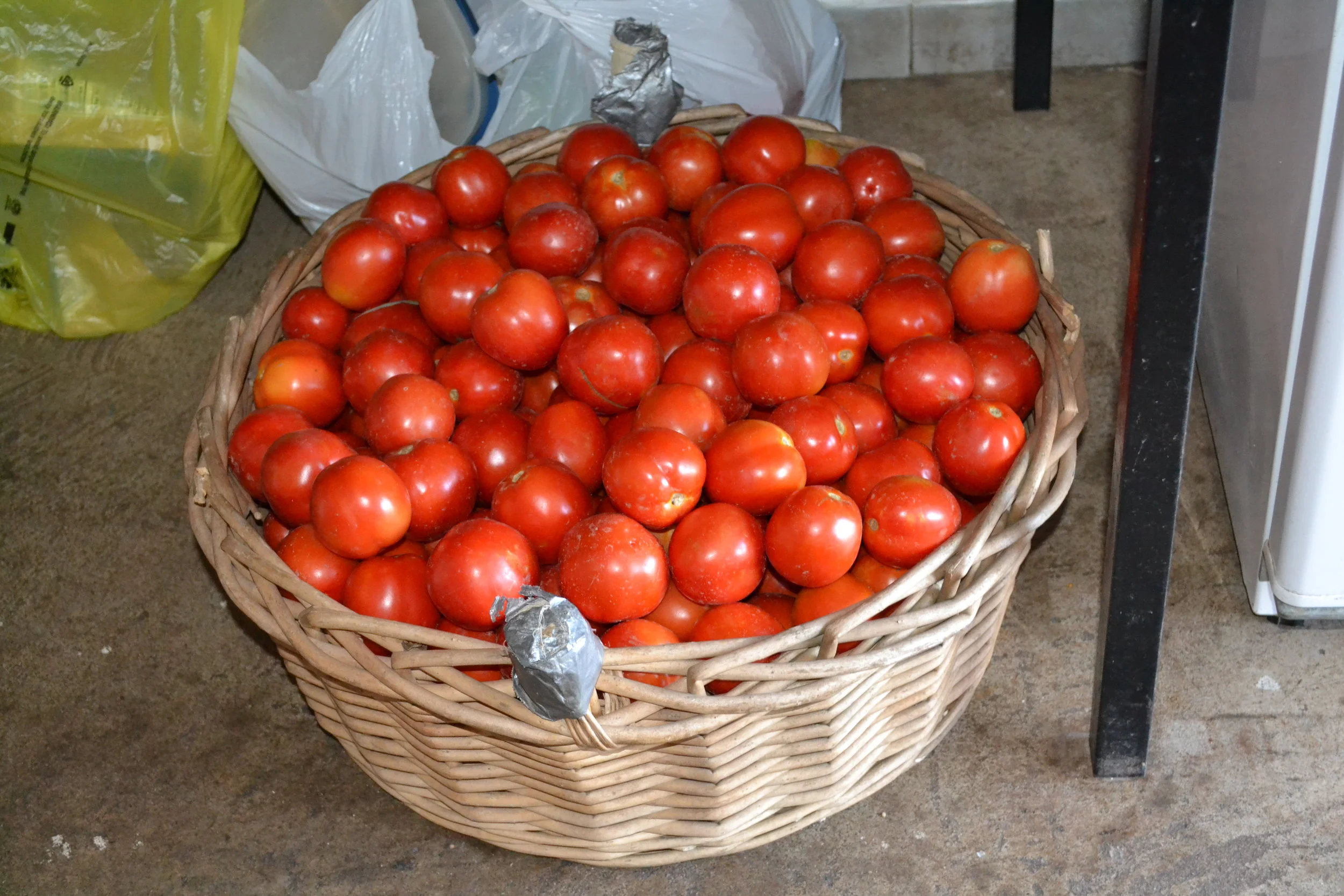 Tomatoes
