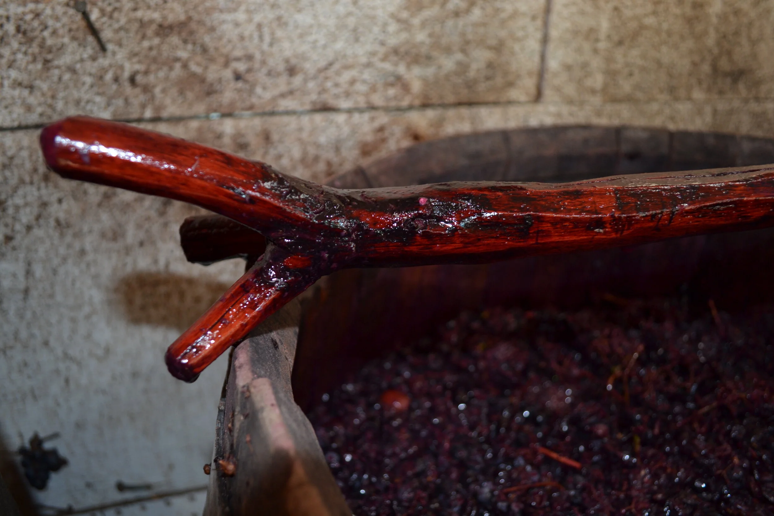 Wine making