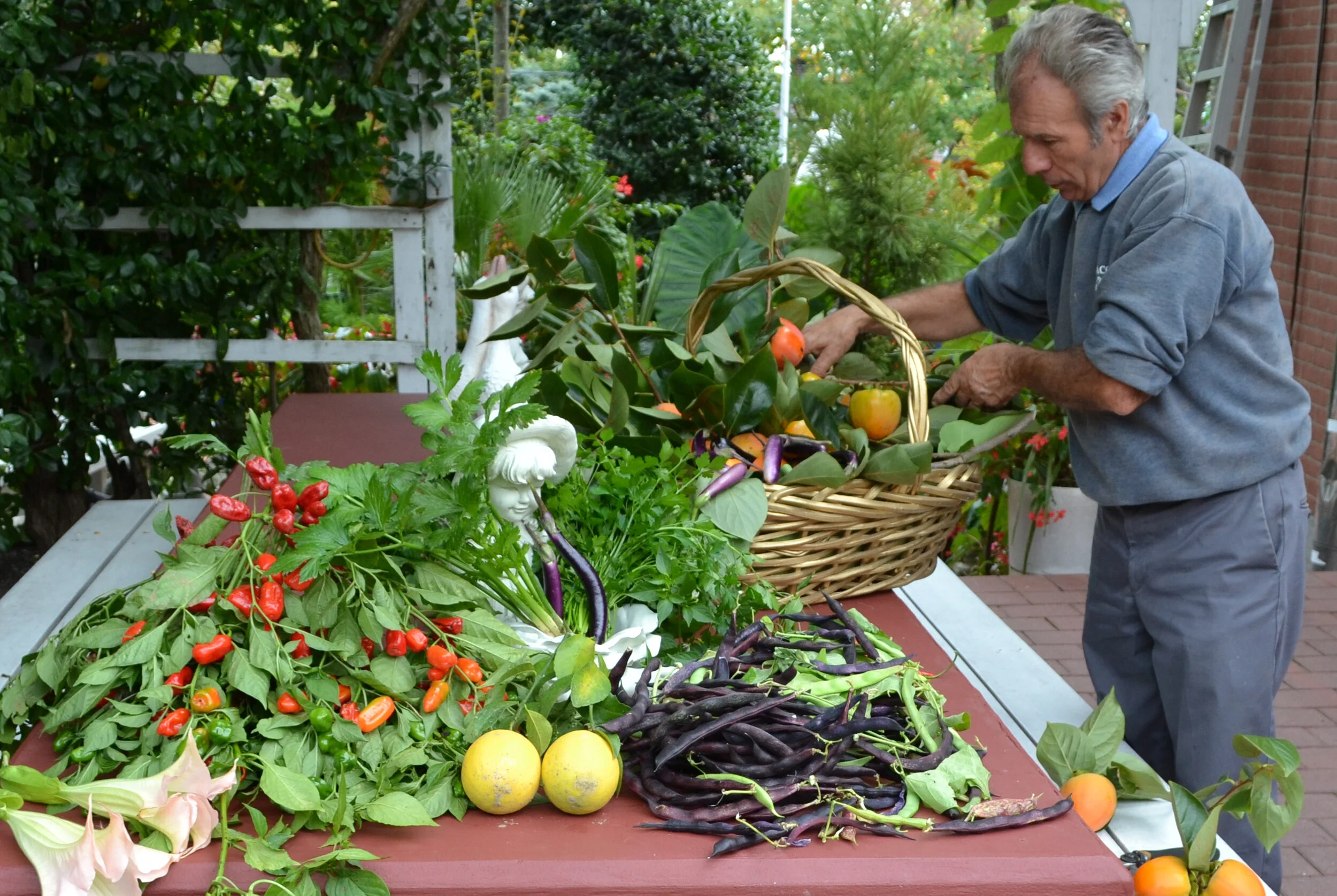 Fruits and vegetables