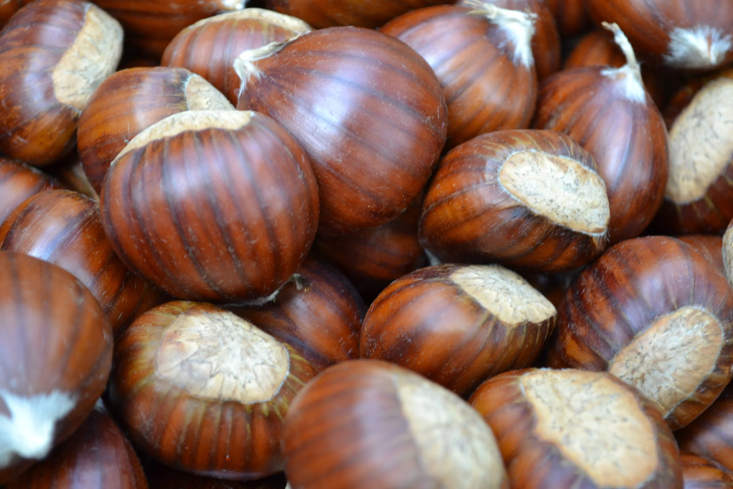Chestnuts 101  