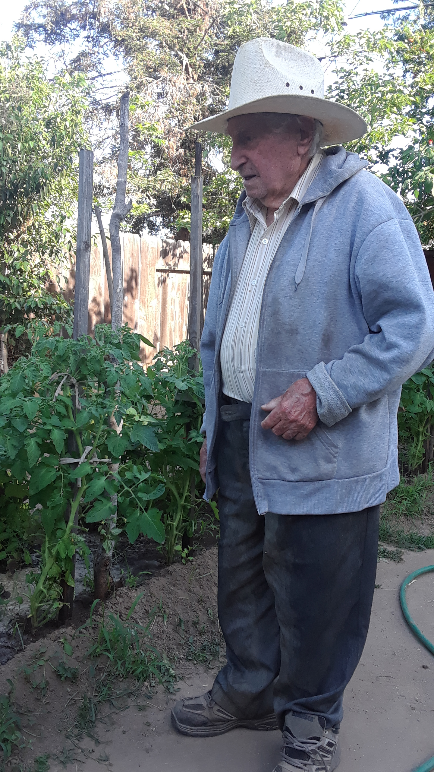 Dad pacing in the garden (cowboy attire).png
