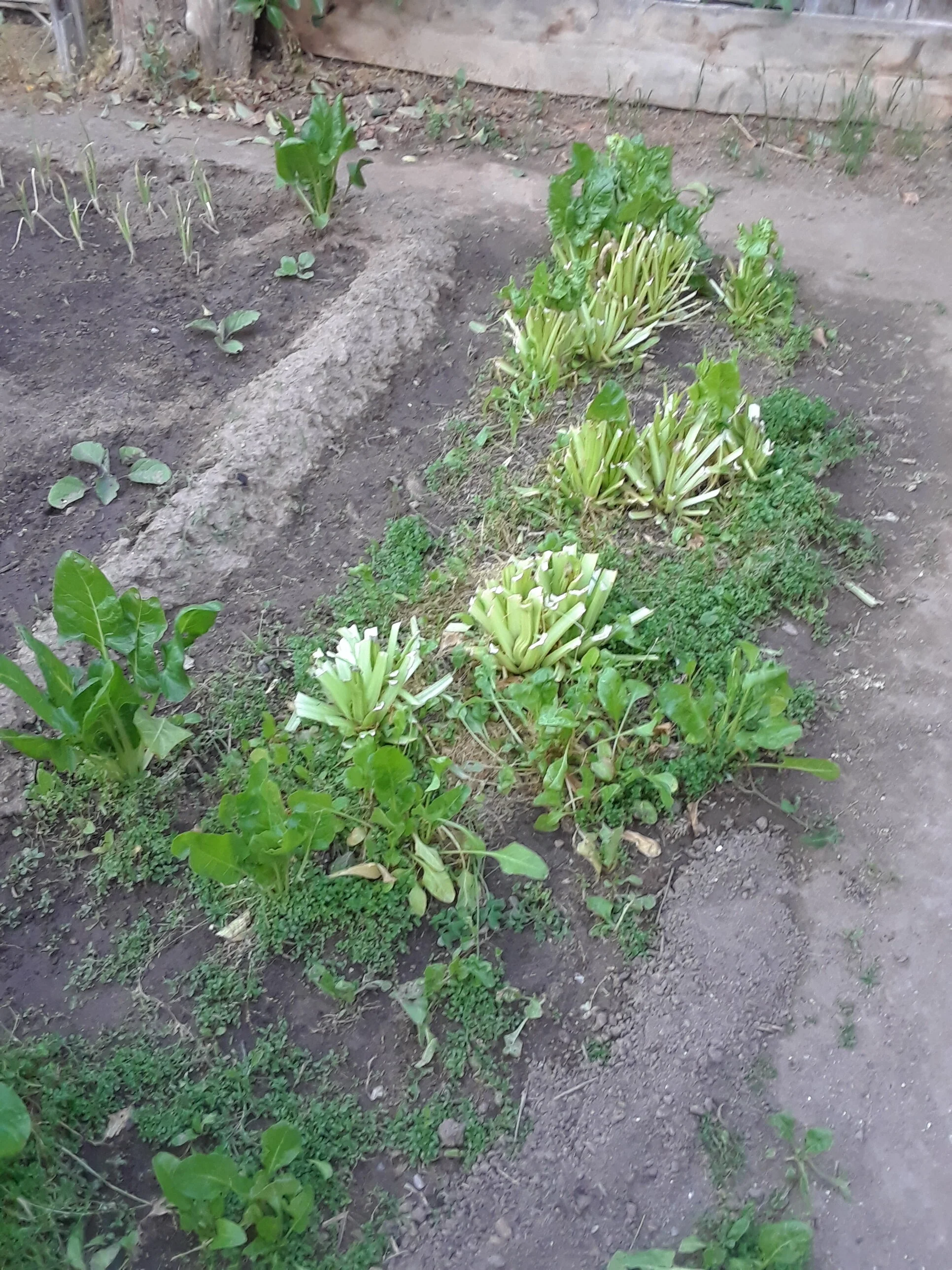 20190416_192231.jpg