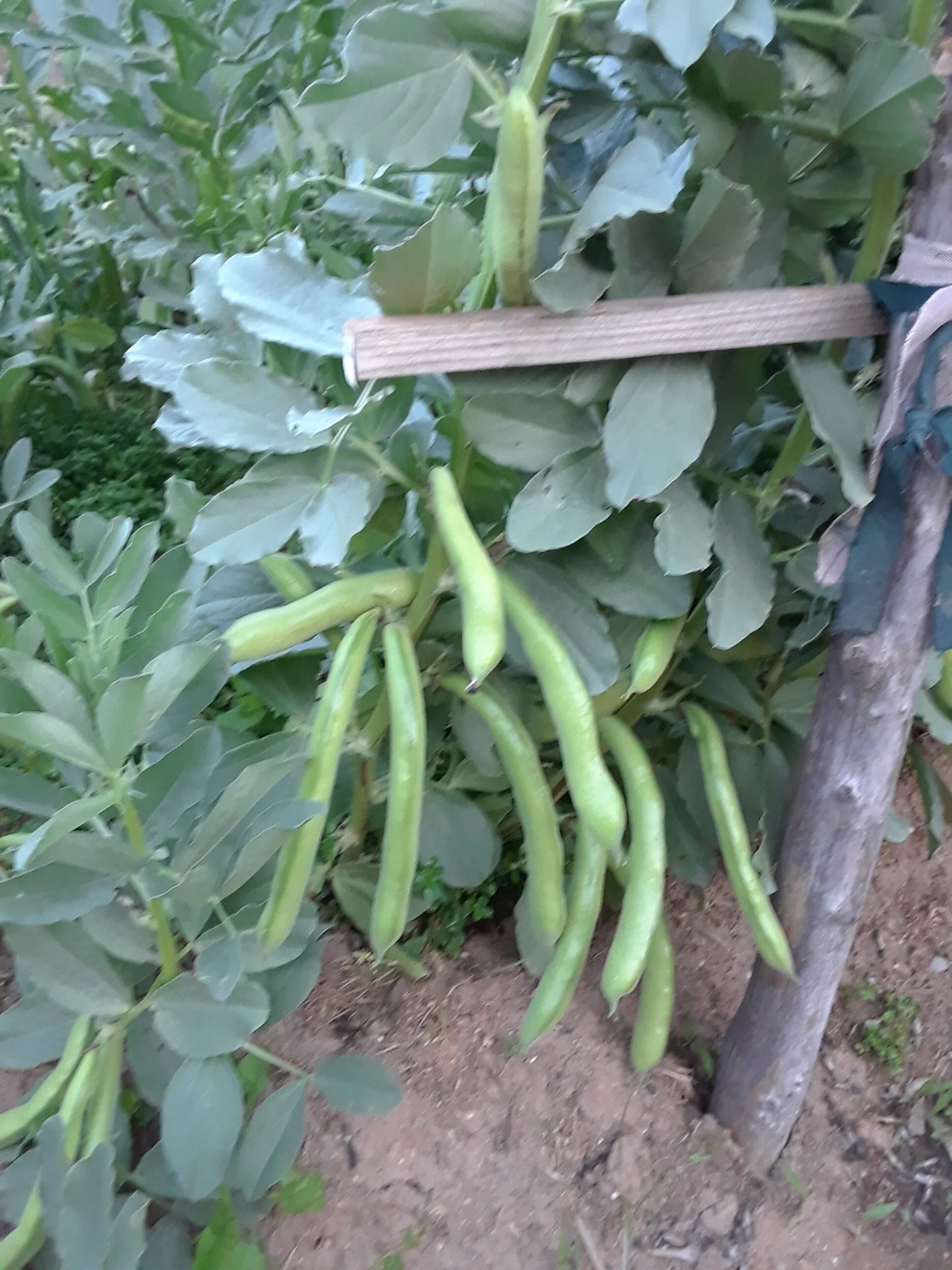 20190416_192058.jpg