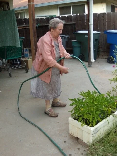 Mom watering basil.JPG