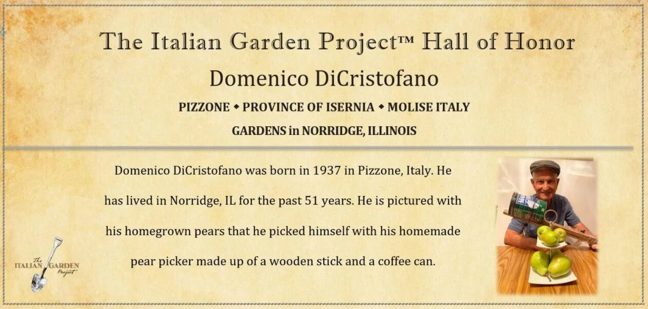 Domenico DiCristofano 