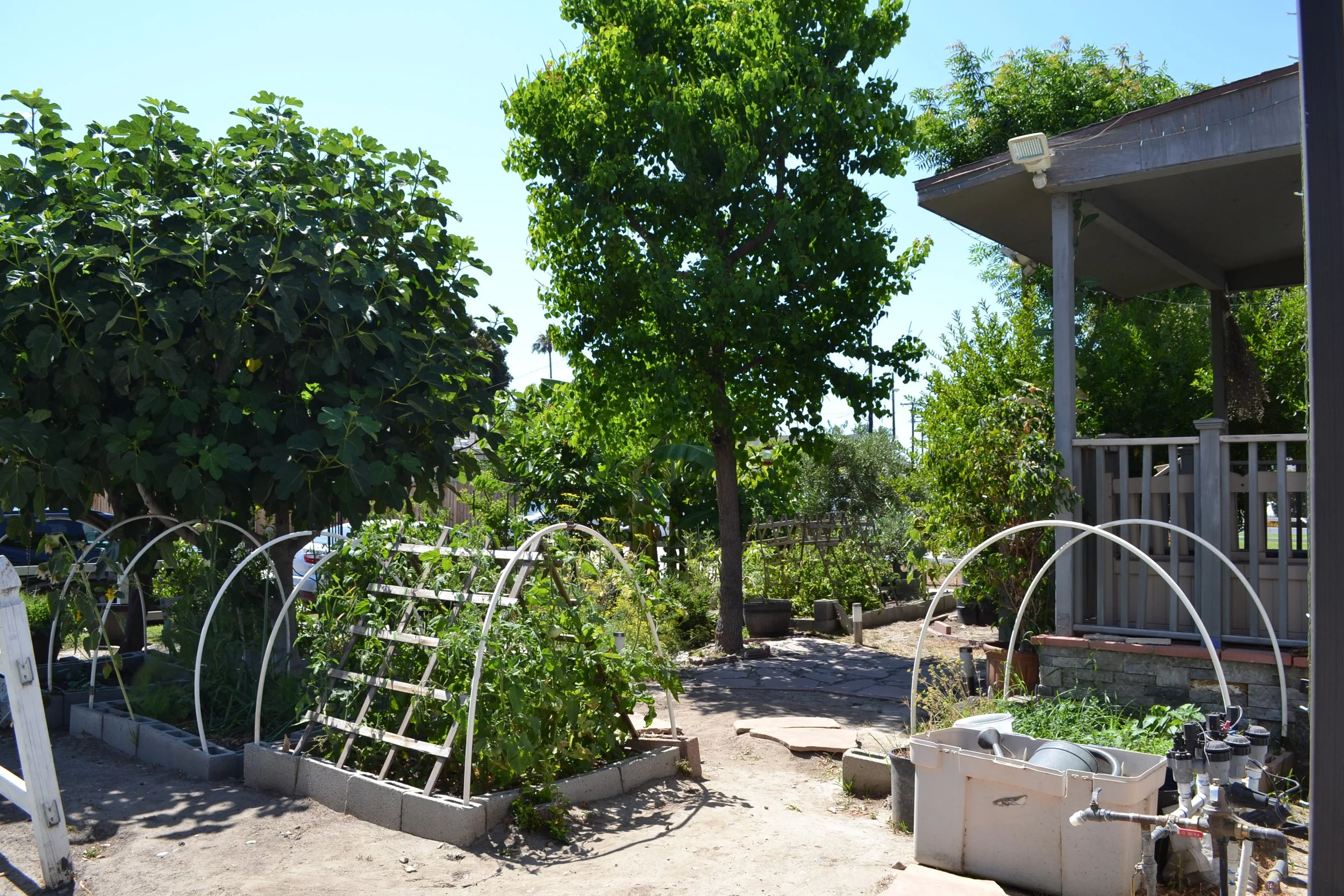 Vegetables are planted in the many raised beds throughout the property. 