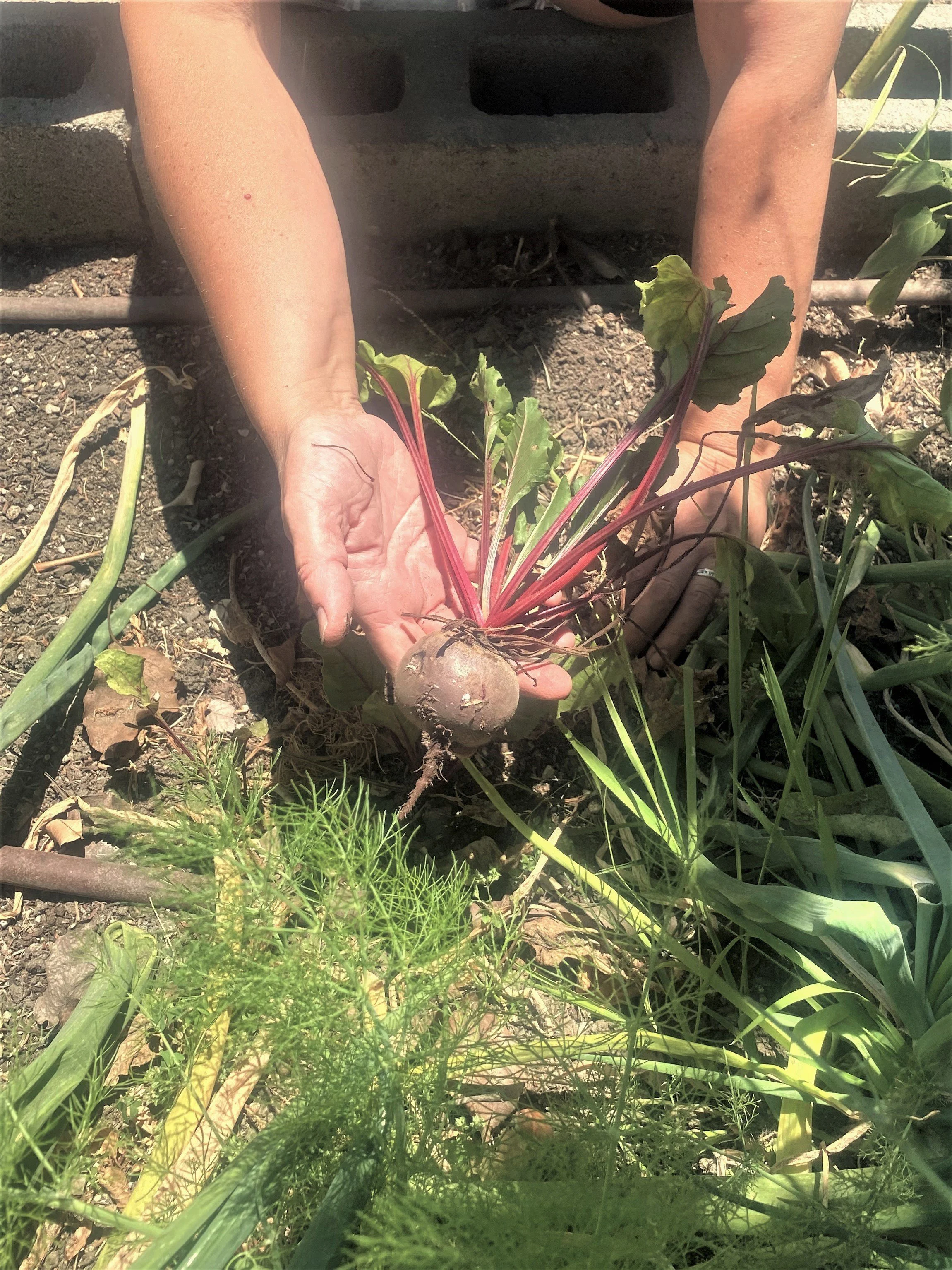 and beets...