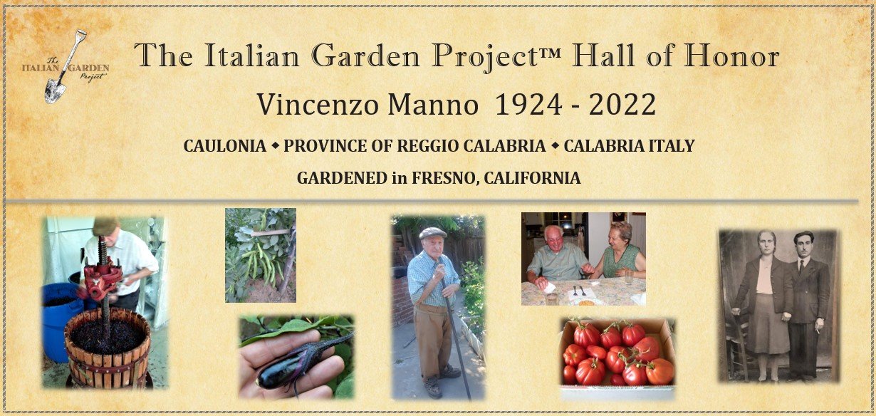 Vincenzo Manno