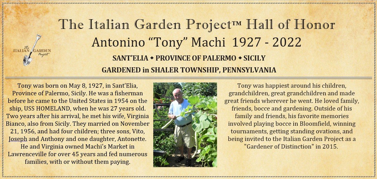 Antonino "Tony" Machi