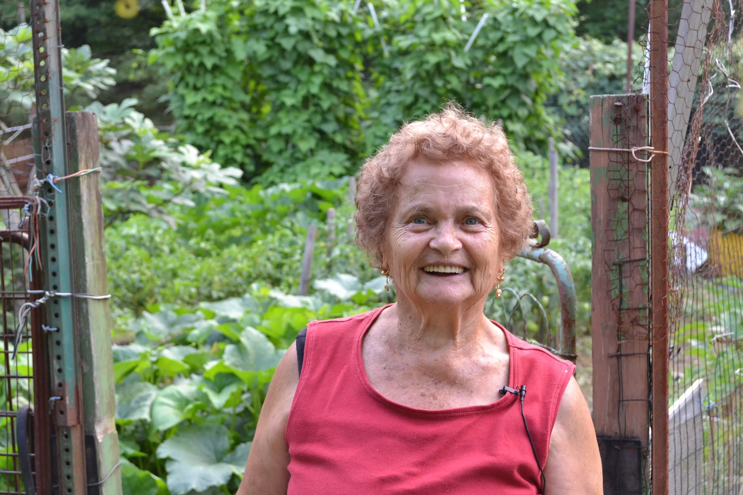A Visit to Concetta’s Garden