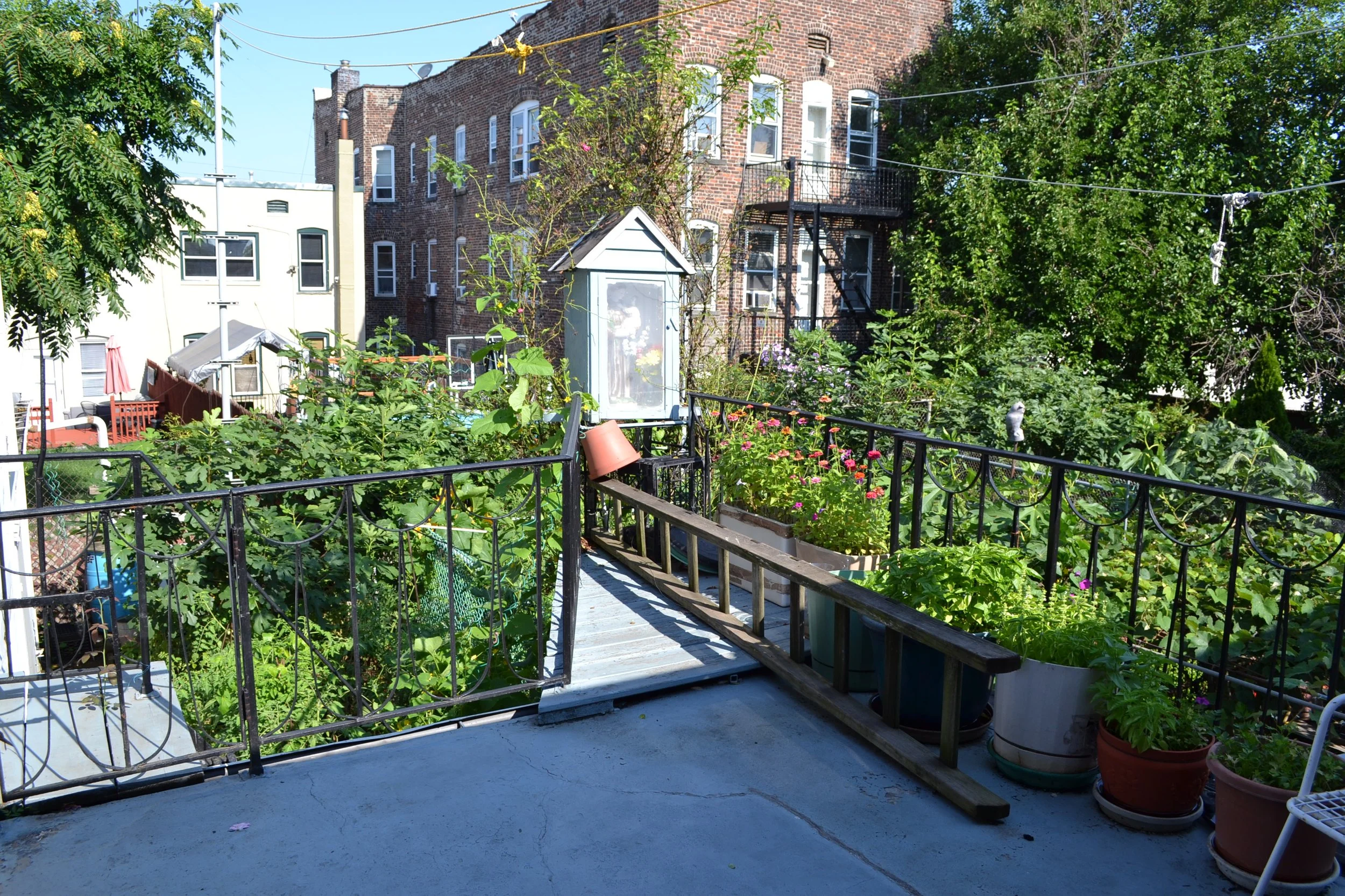 DSC_2038.JPG