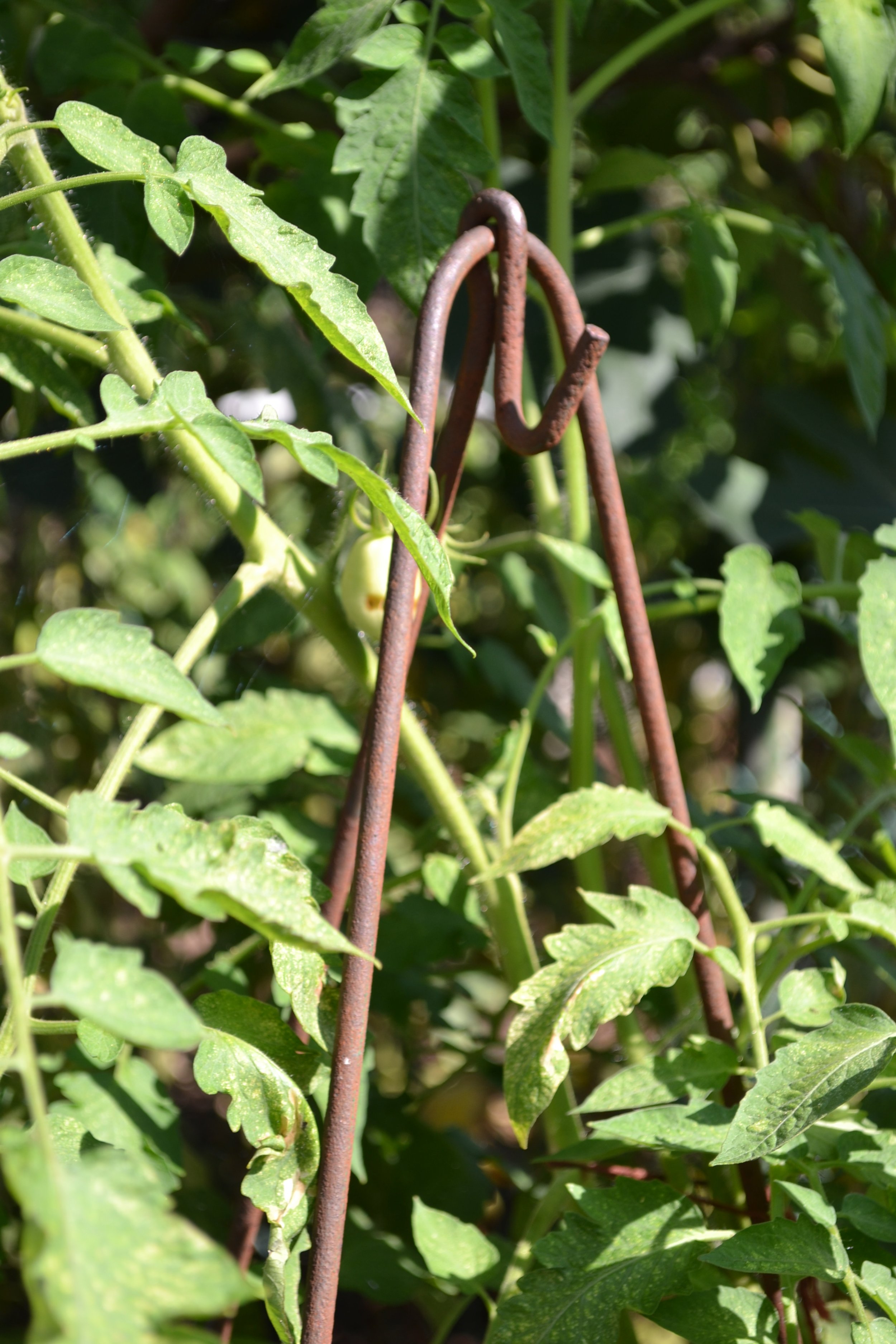DSC_2057.JPG